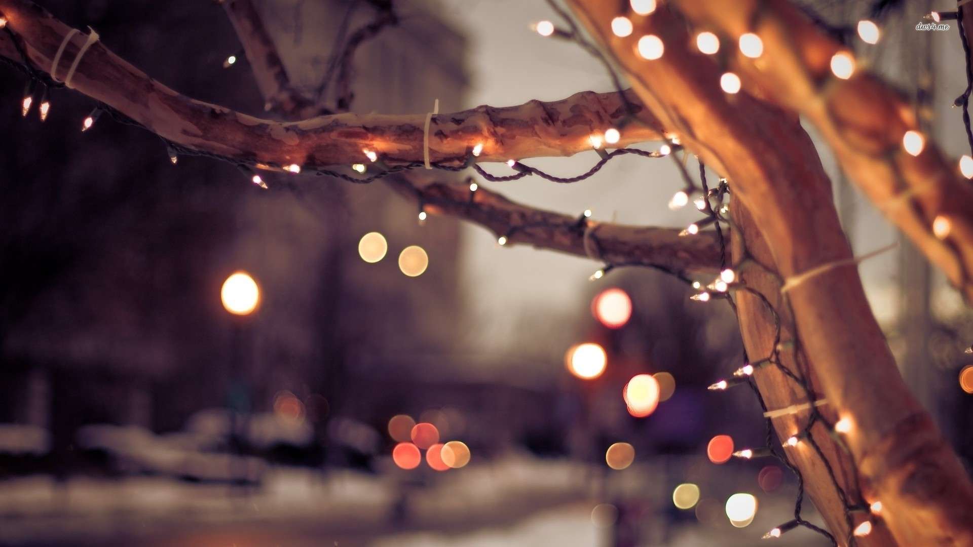 Places in Vancouver to View Christmas Lights • Marco Pontillo Personal Real Estate Corporation