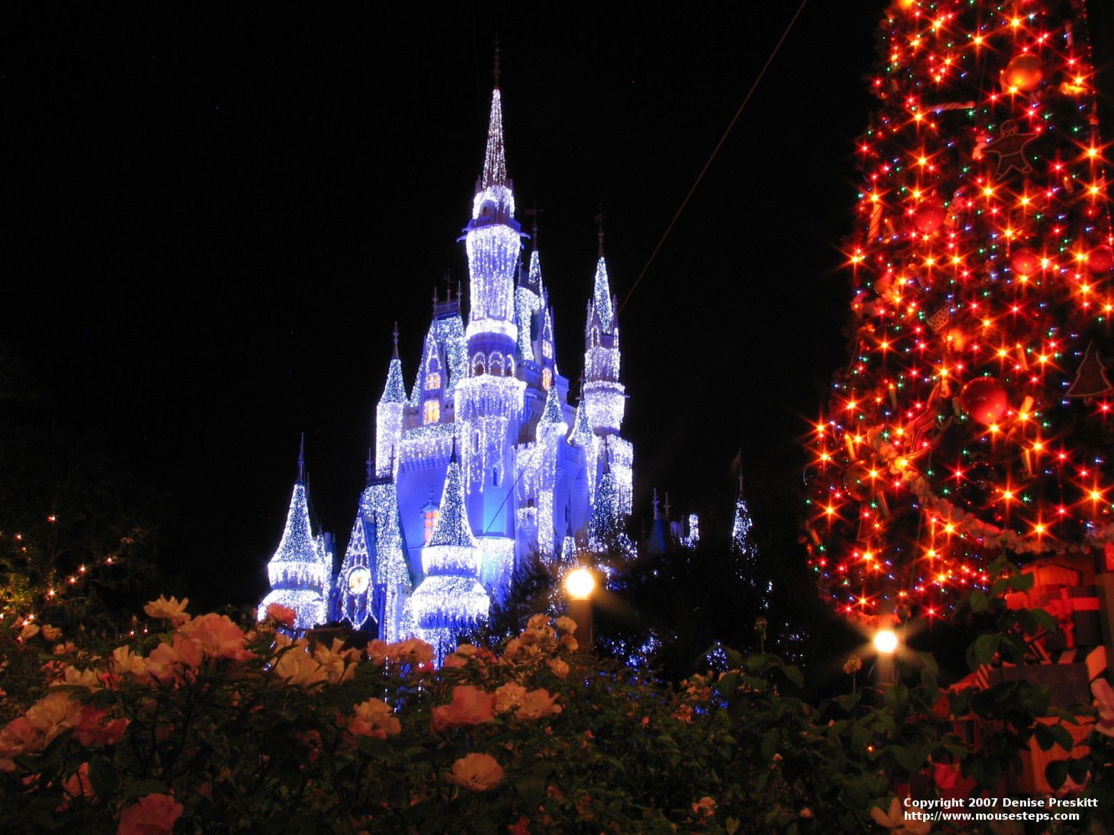 Desktop Wallpaper Christmas Photo From Walt Disney World