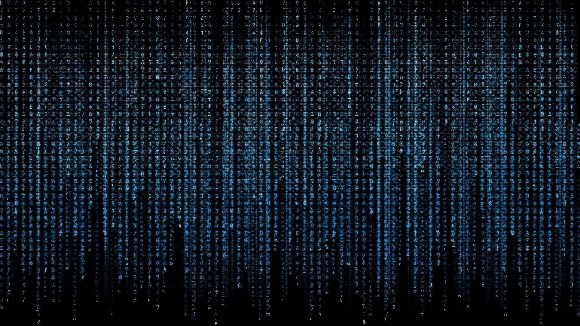 blue #black #pattern #matrix digital rain #technology #darkness #texture #line binary code P #wallpaper #hdwall. Rain wallpaper, Matrix, Digital background