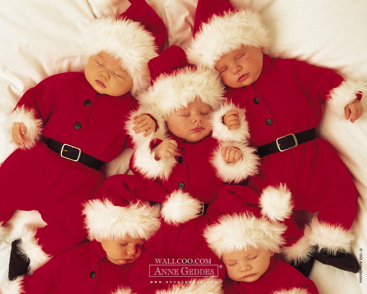 50+] Anne Geddes Christmas Babies Wallpapers