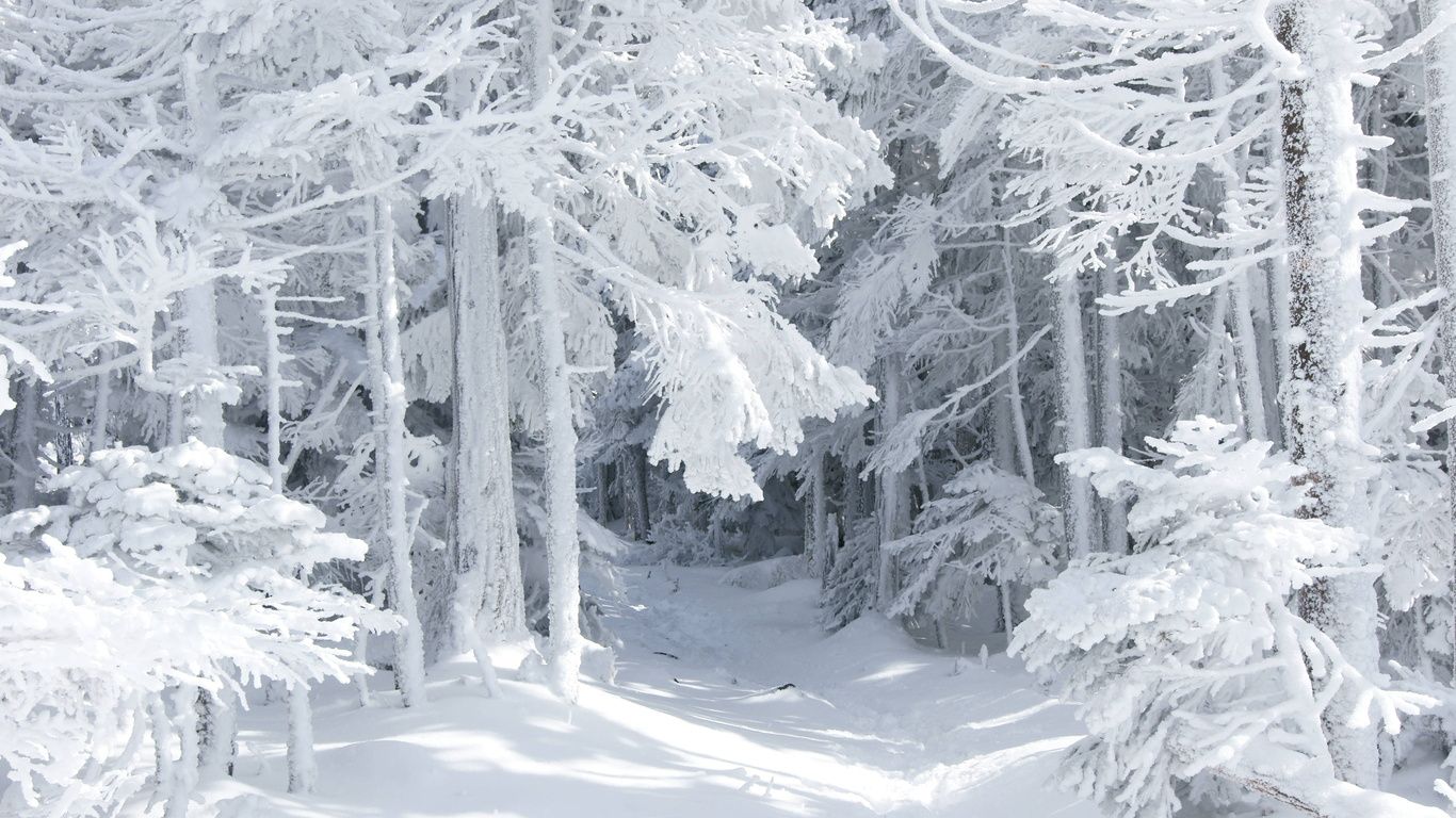 Winter Fairytale Wallpapers - Wallpaper Cave
