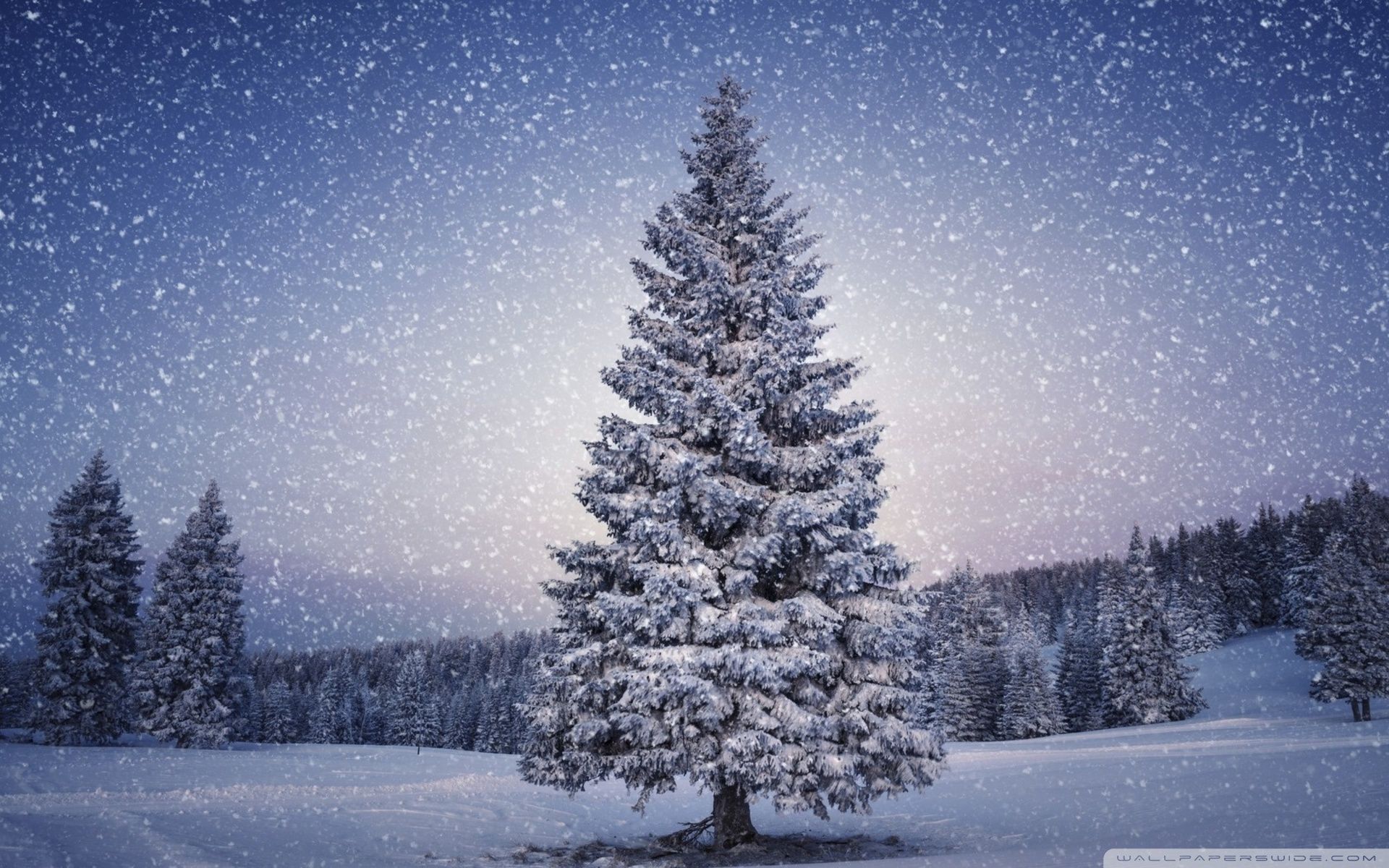 Winter Fairytale Wallpapers - Wallpaper Cave