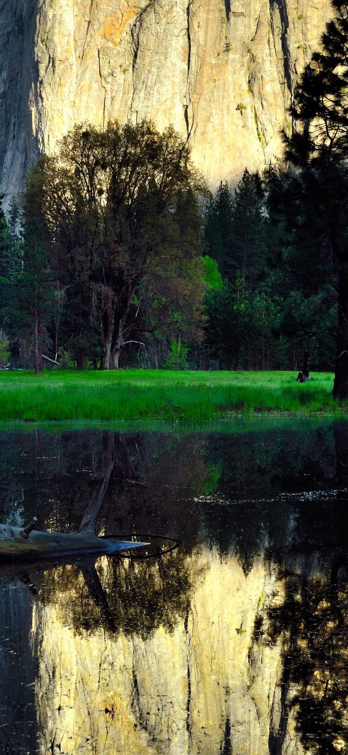 iPhone Pro Wallpaper Cathedral rocks vista yosemite national park body of water wallpaper HD. Yosemite national park, National parks, Vista