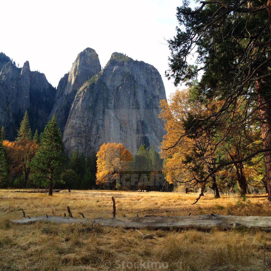 Cathedral Rocks, meadow and trees in fall. Yosemite Valley, Yosemite National Park, Mariposa County, California, USA, download or print for £31.00