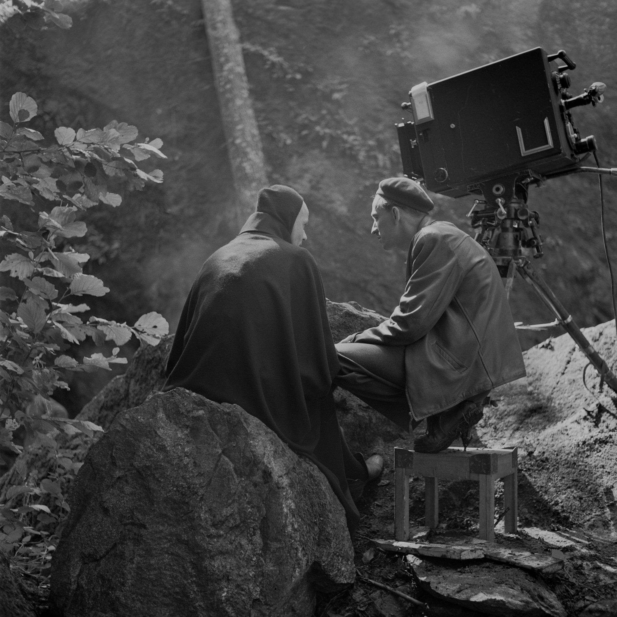 Bergman 39 S The Seventh Seal 1957 The Seventh Seal