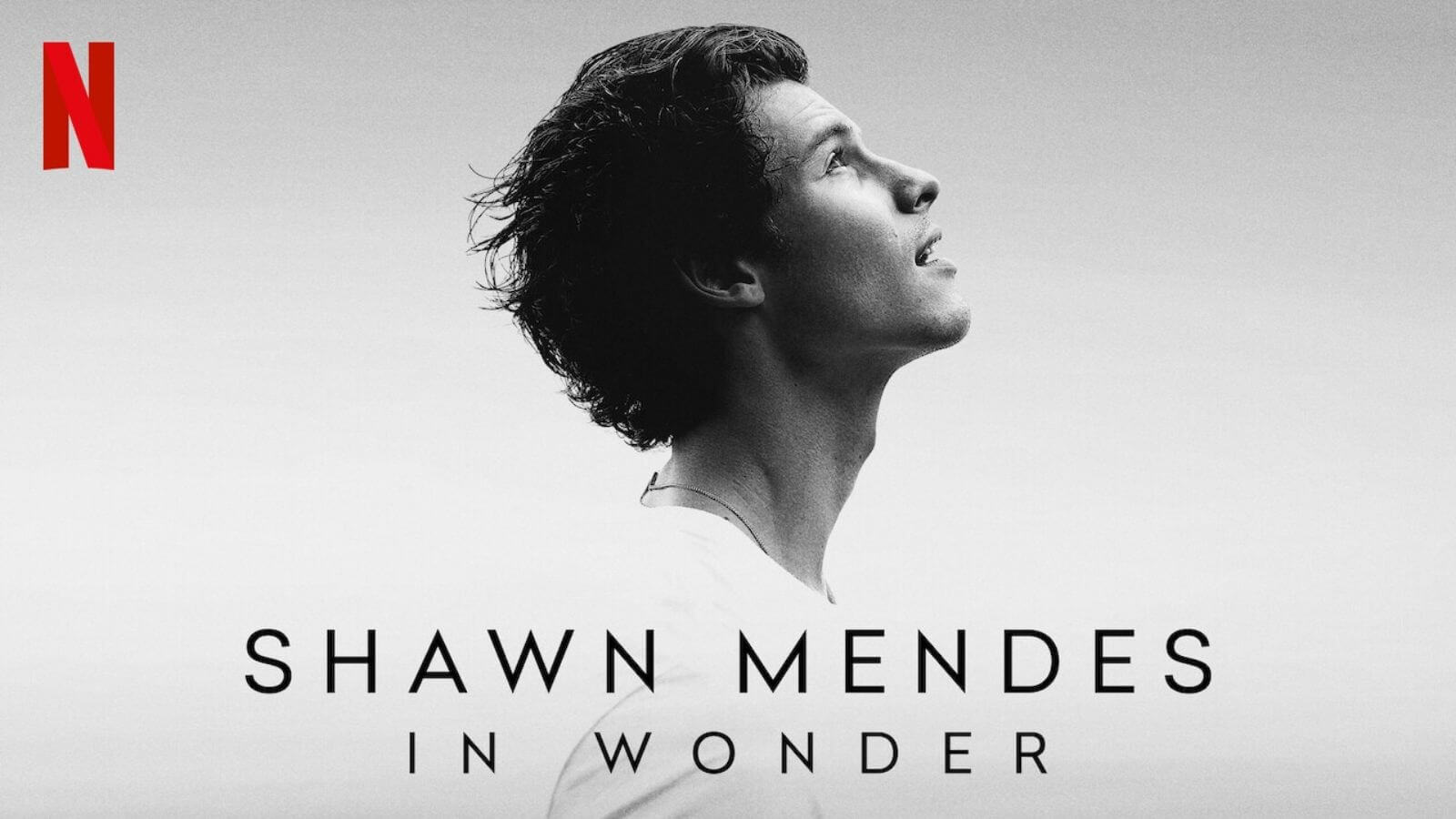 Shawn Mendes: In Wonder coming on Netflix from November 23