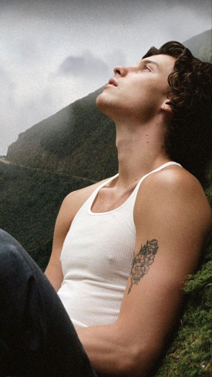 Shawn Mendes Wonder. Shawn mendes wallpaper, Shawn mendes tour, Shawn mendes shirtless