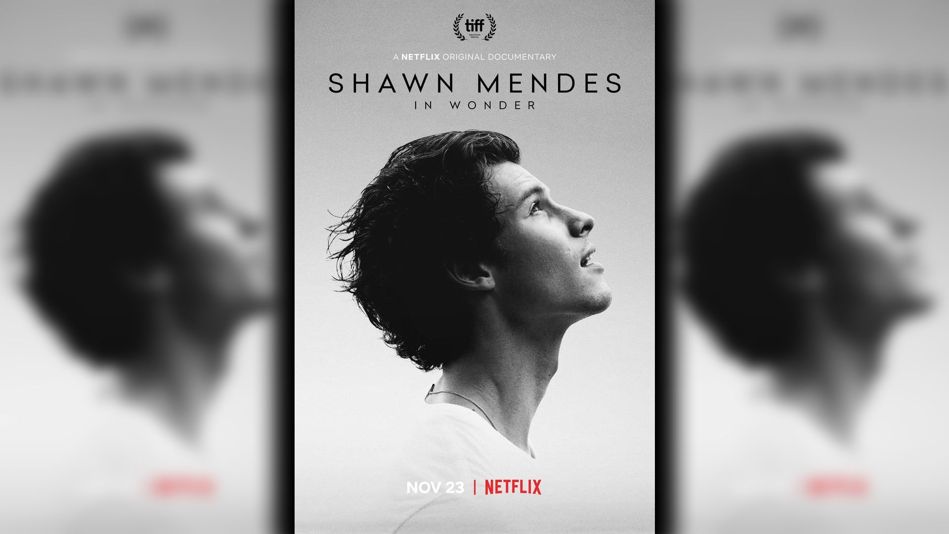 Netflix Announces Premiere Date For Shawn Mendes' 'In Wonder' Documentary