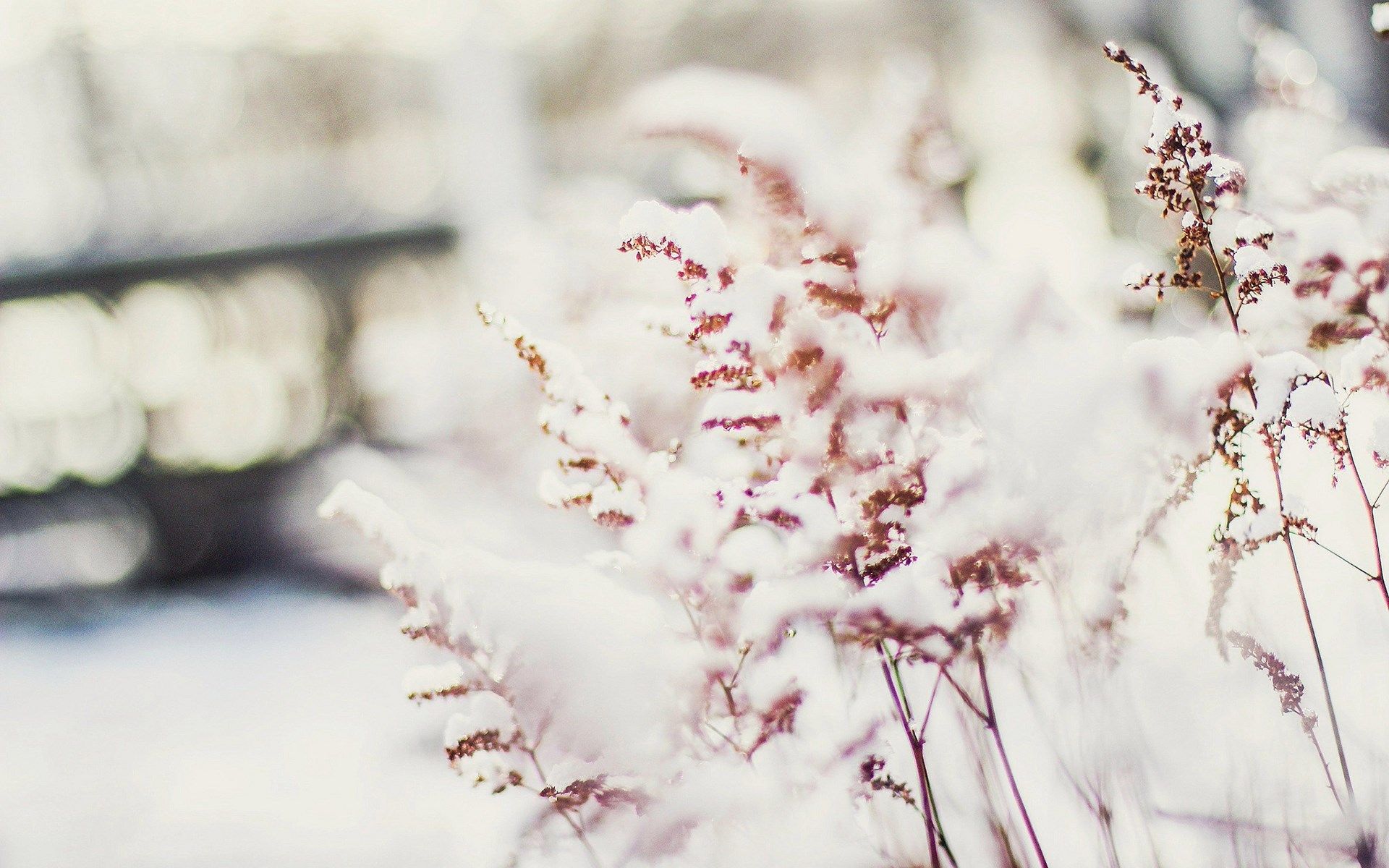 wallpaper desktop winter Desktop Wallpaperk HD