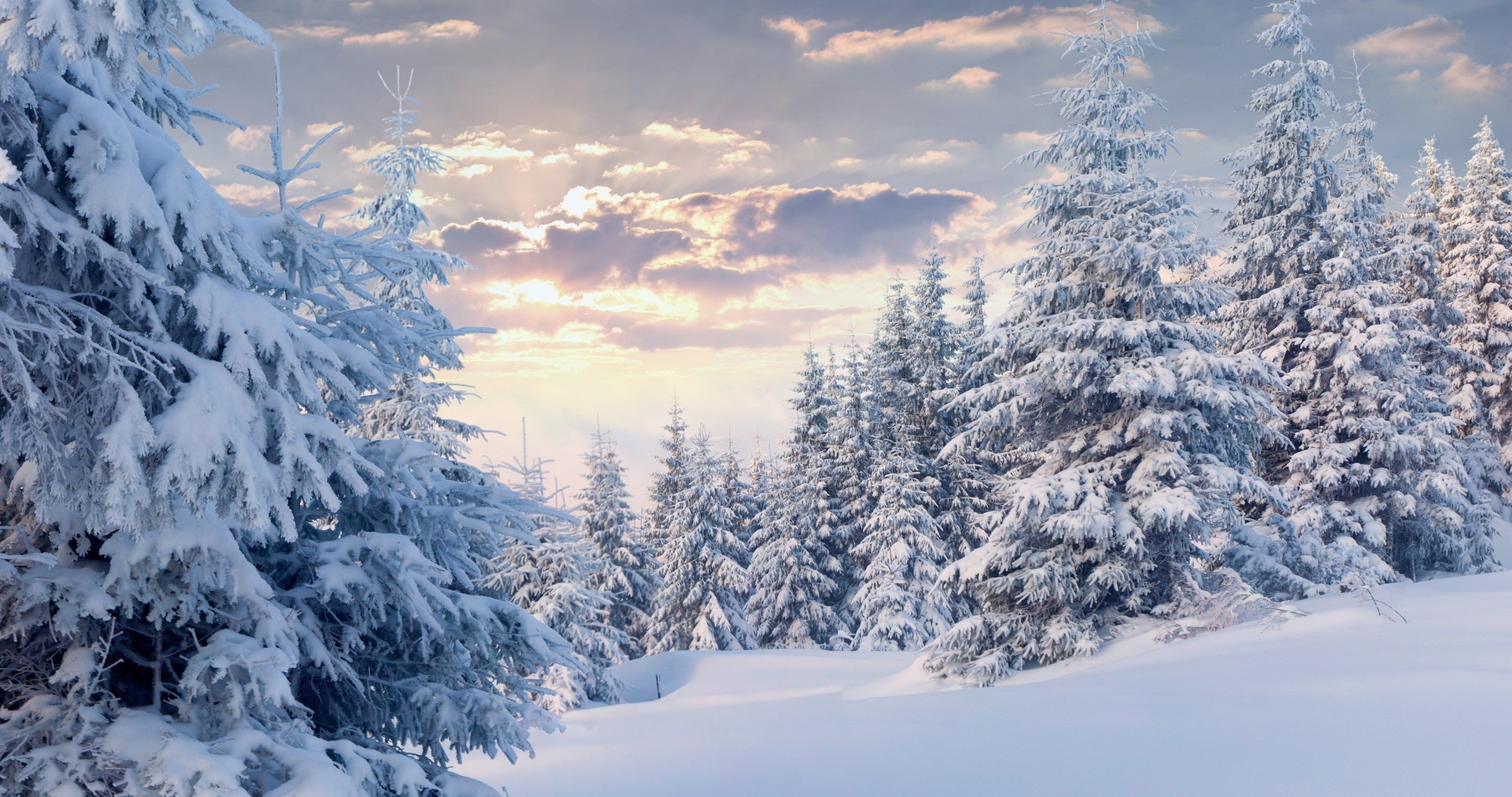 4k Snowy Wallpapers Wallpaper Cave