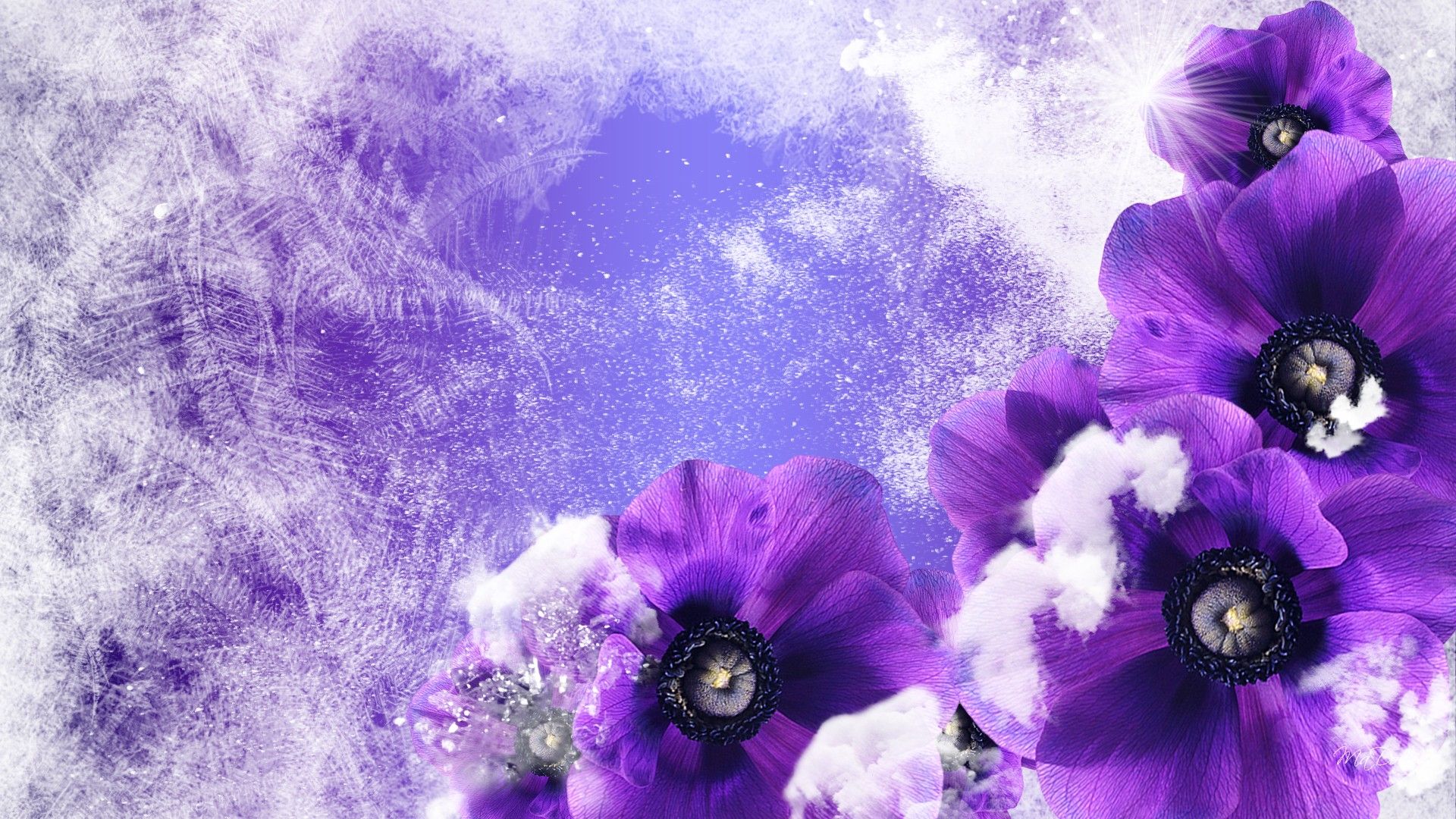 winter flowers A1 Desktop Wallpaperk HD