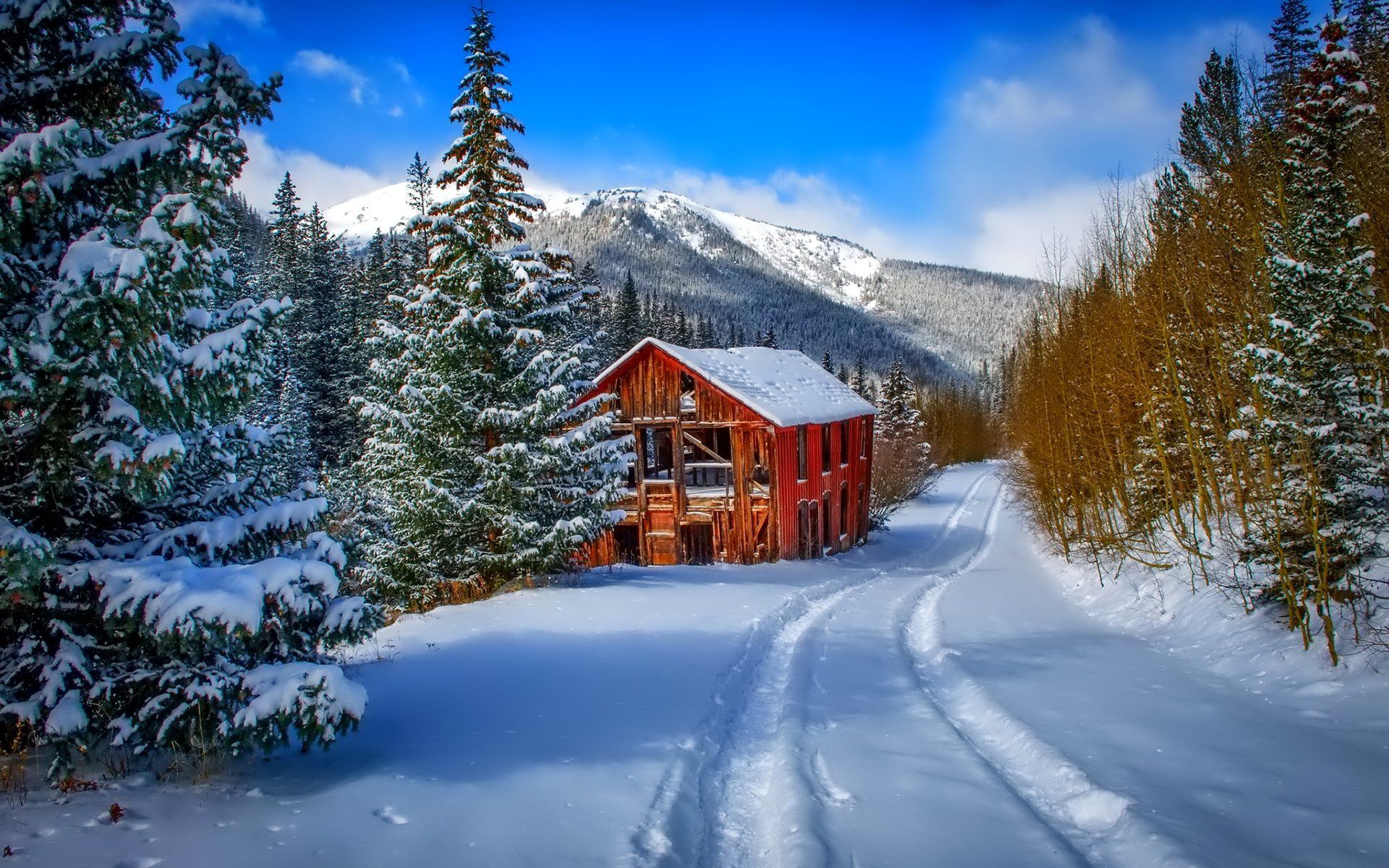 Christmas Snow Scene Wallpaper Wallpaper 1920x1200
