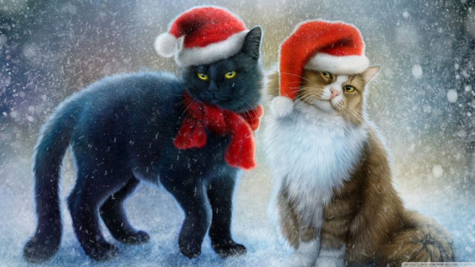 Christmas Cats Ultra HD Desktop Background Wallpaper for 4K UHD TV, Tablet