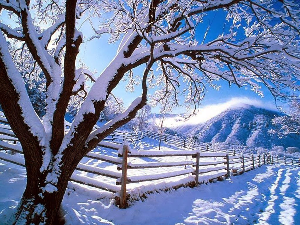 Desktop Background 4U: Winter Scenes