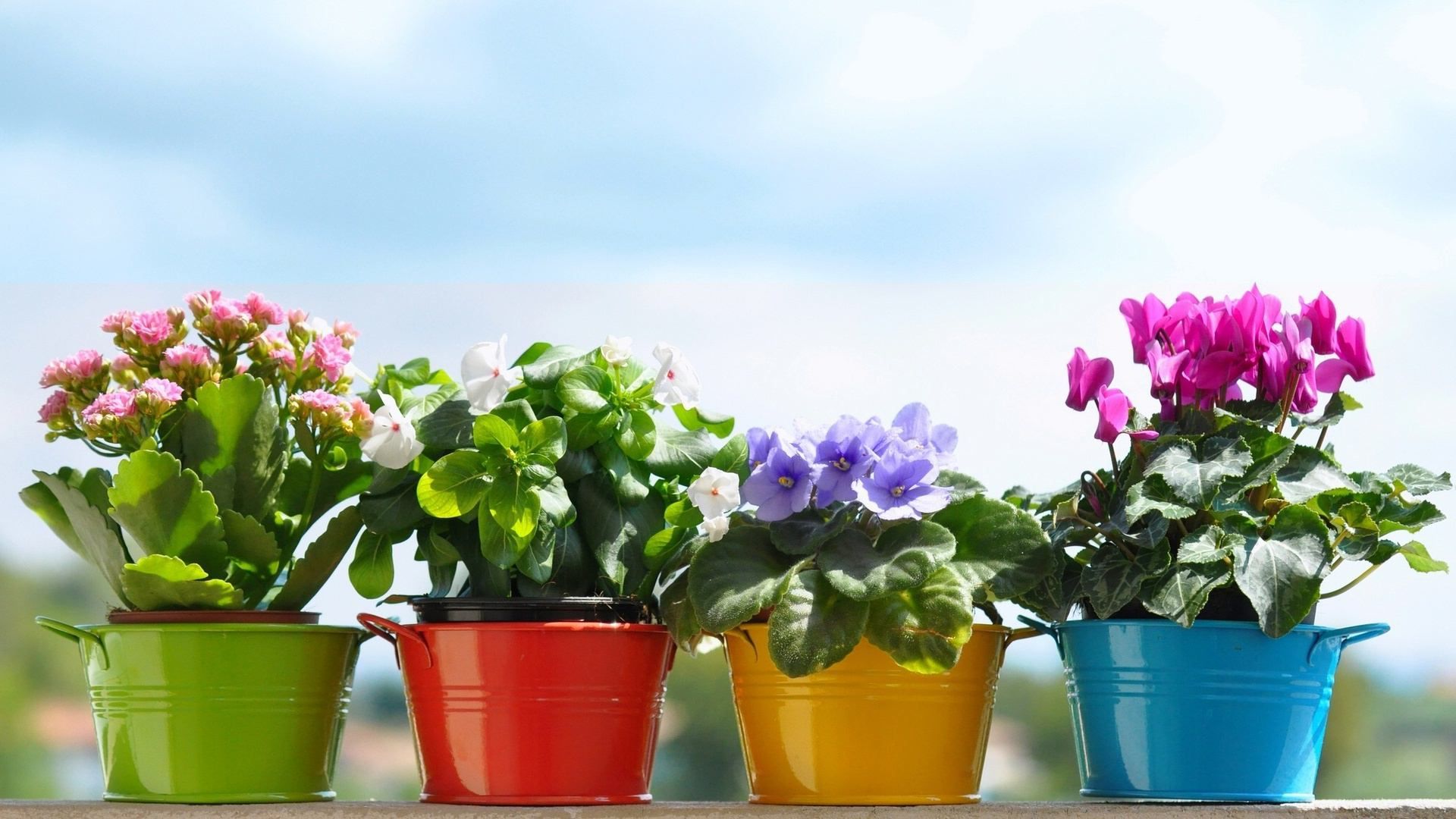 Pots Wallpapers Wallpaper Cave