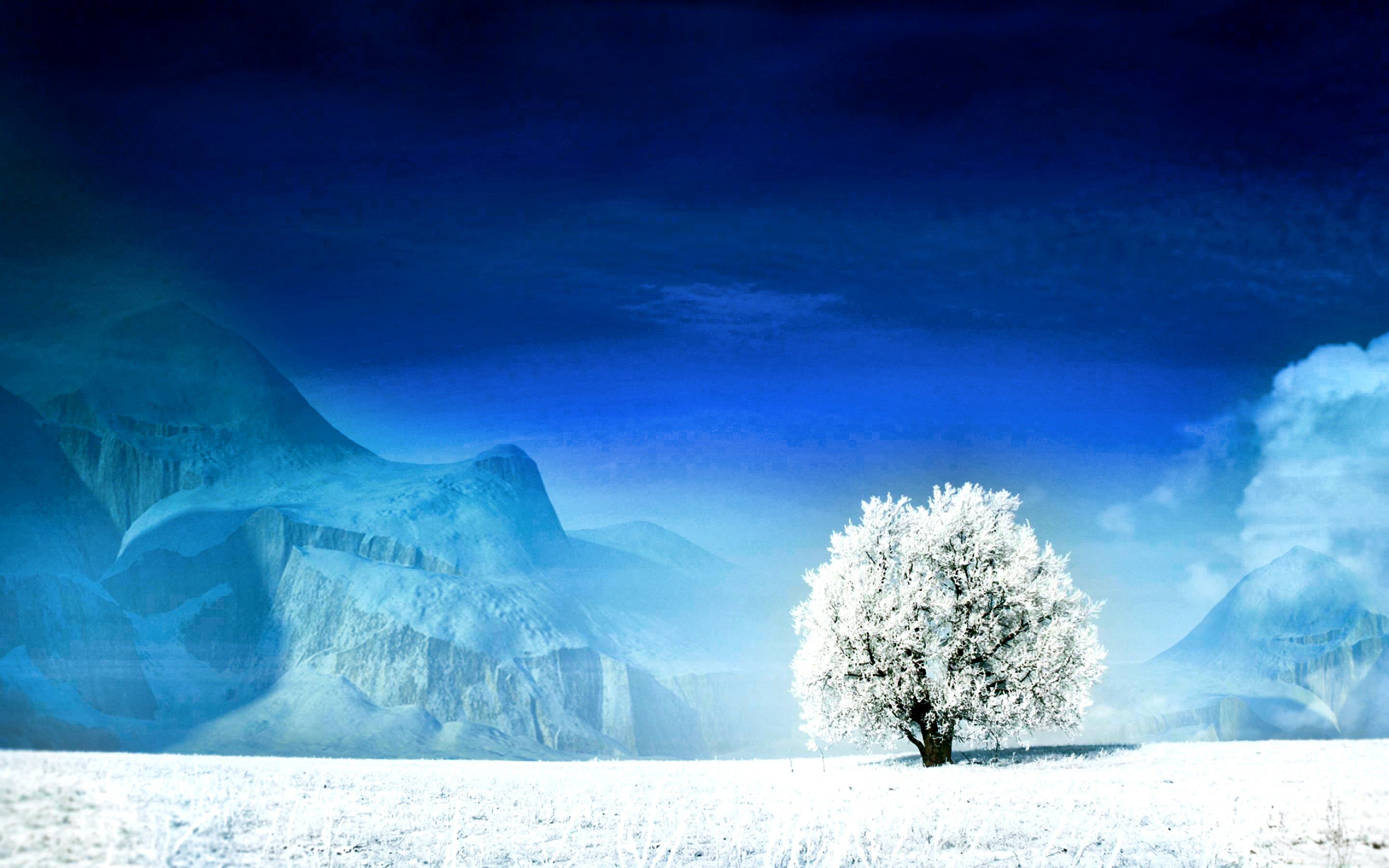 white tree snow live wallpaper download