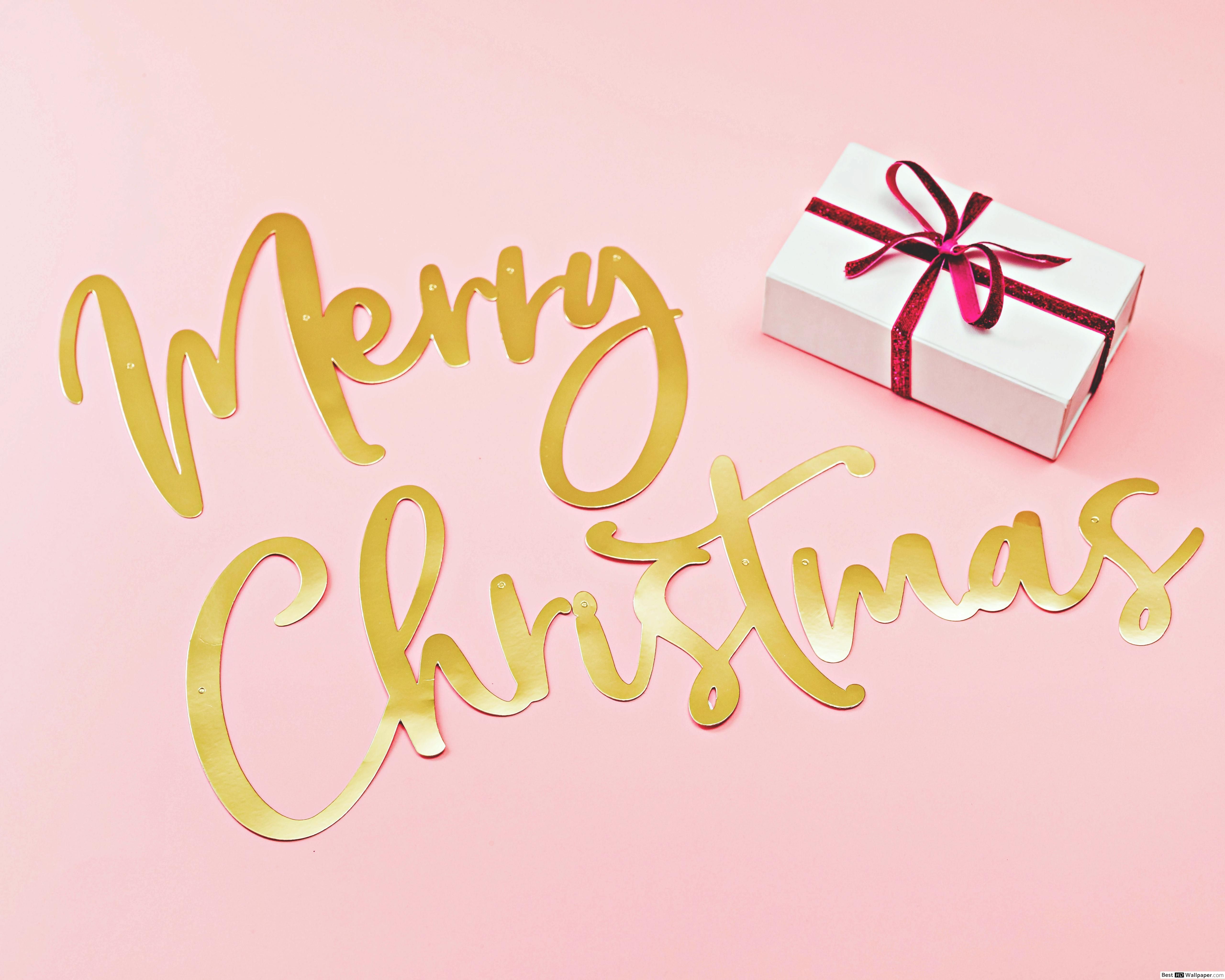 Merry Christmas greetings and a gift in a pink background HD wallpaper download