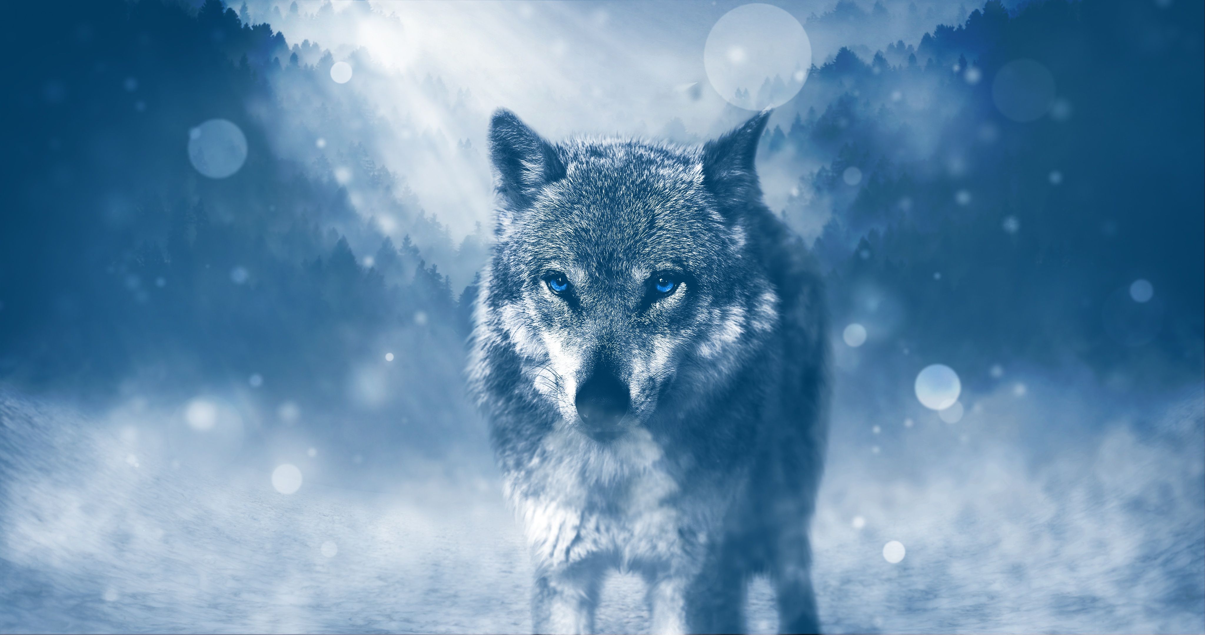 Download wallpaper 4096x2160 wolf, predator, photohop, glance, glare HD background