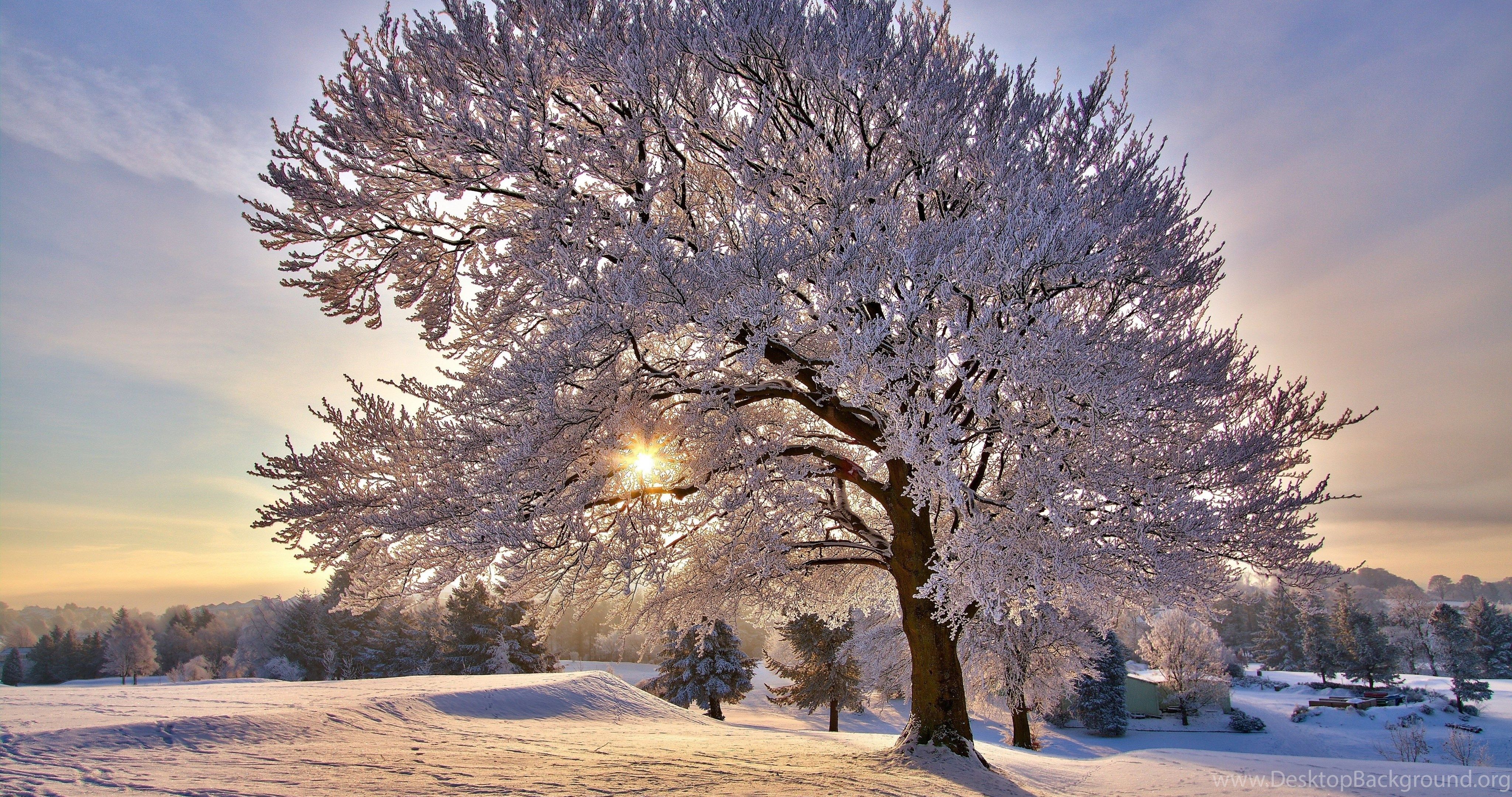 Beautiful Winter Morning Wallpaper Full HD [5120x3200] Free. Desktop Background