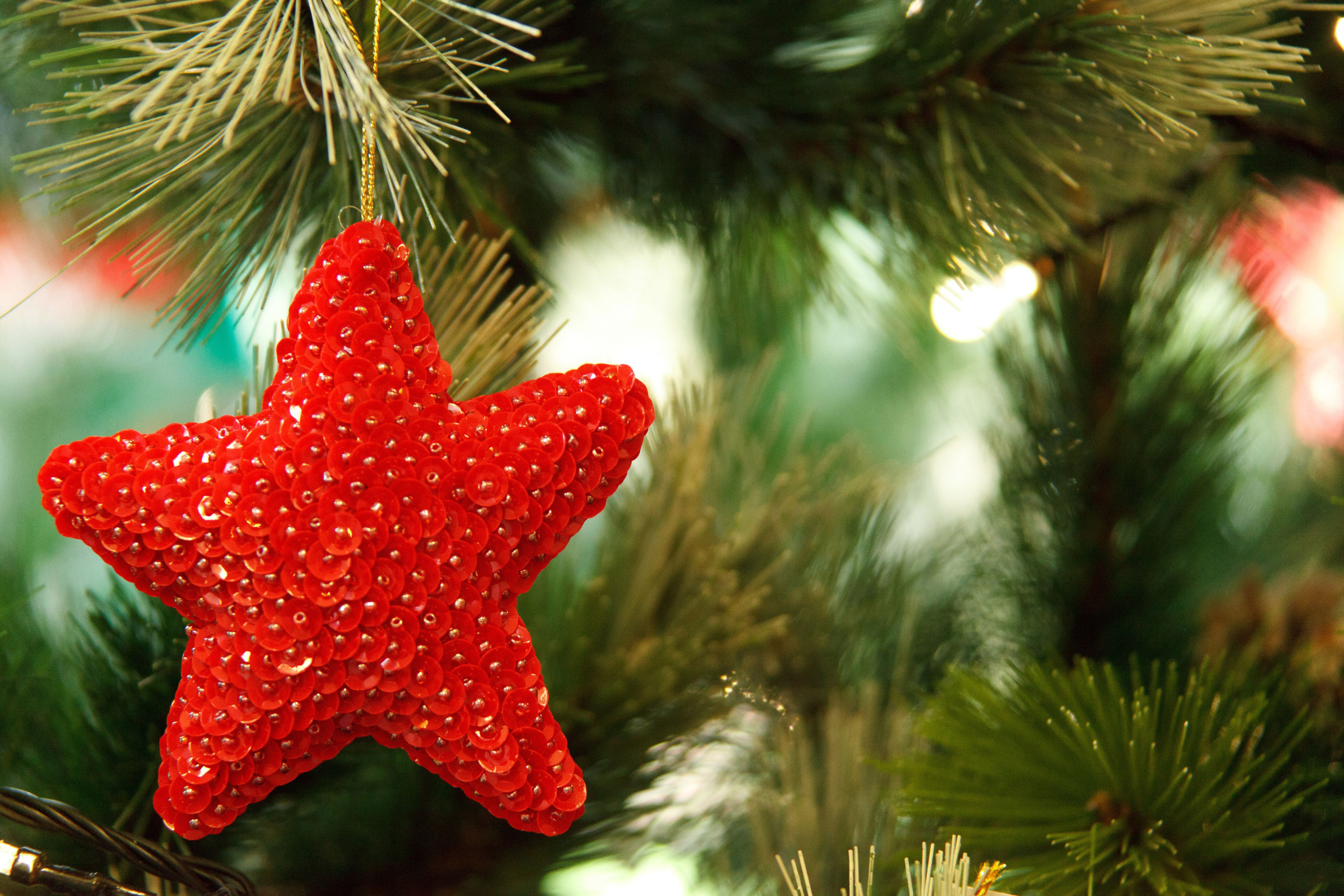 Christmas Tree And Star Wallpapers - Wallpaper Cave