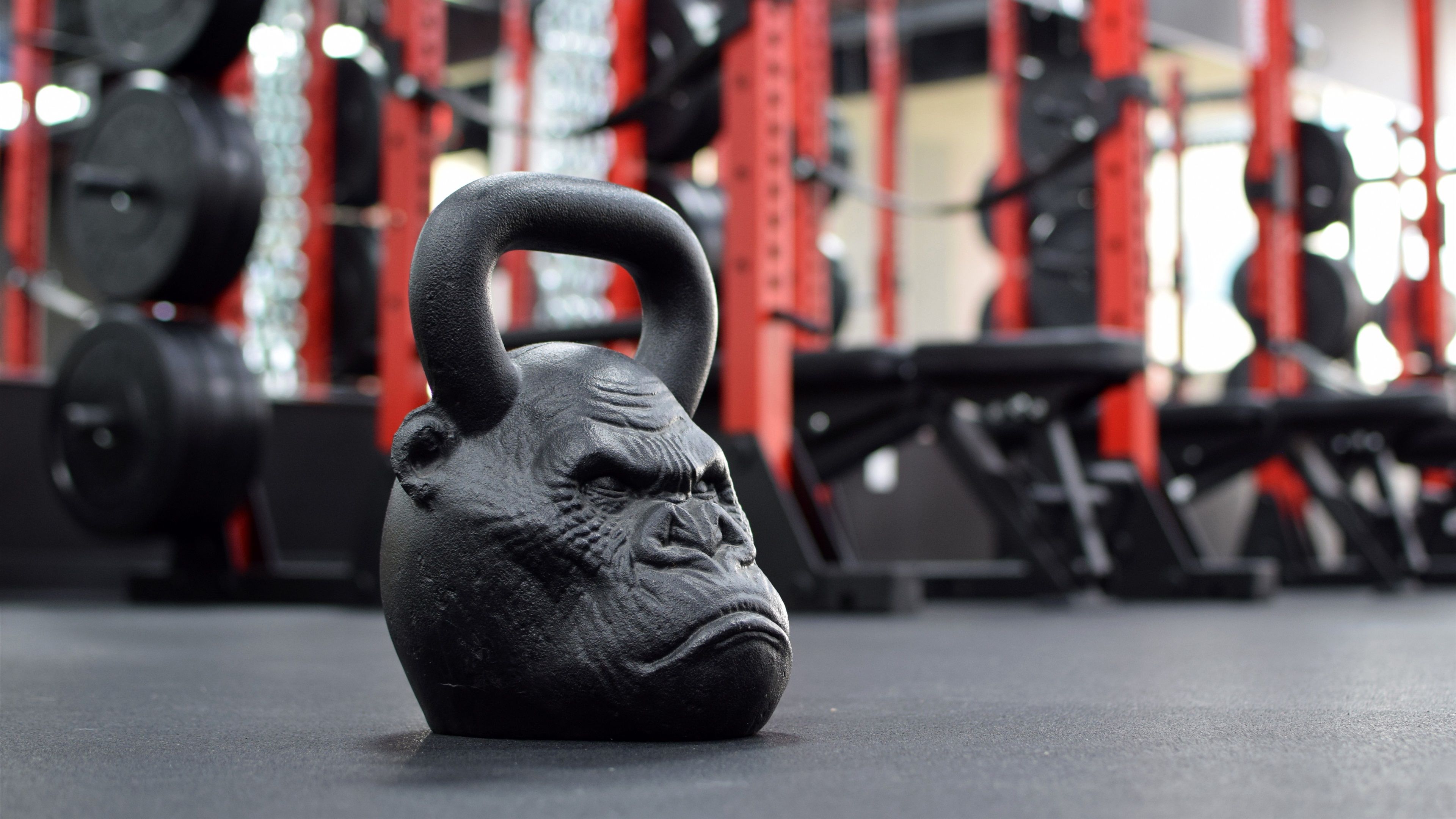 Wallpaper Monkey head dumbbell, gym 3840x2160 UHD 4K Picture, Image