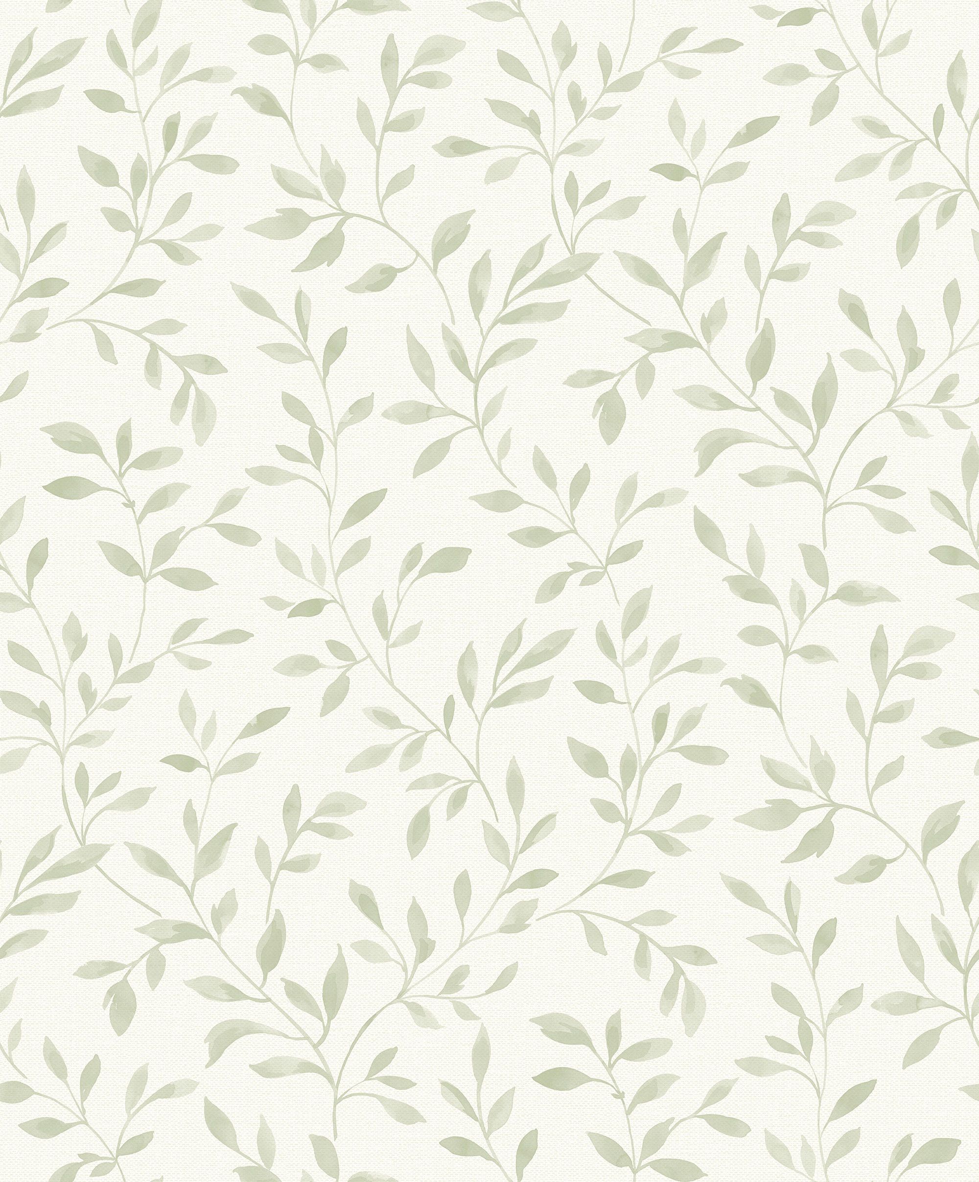 Sage Green Wallpaper - markanthonystudios.net