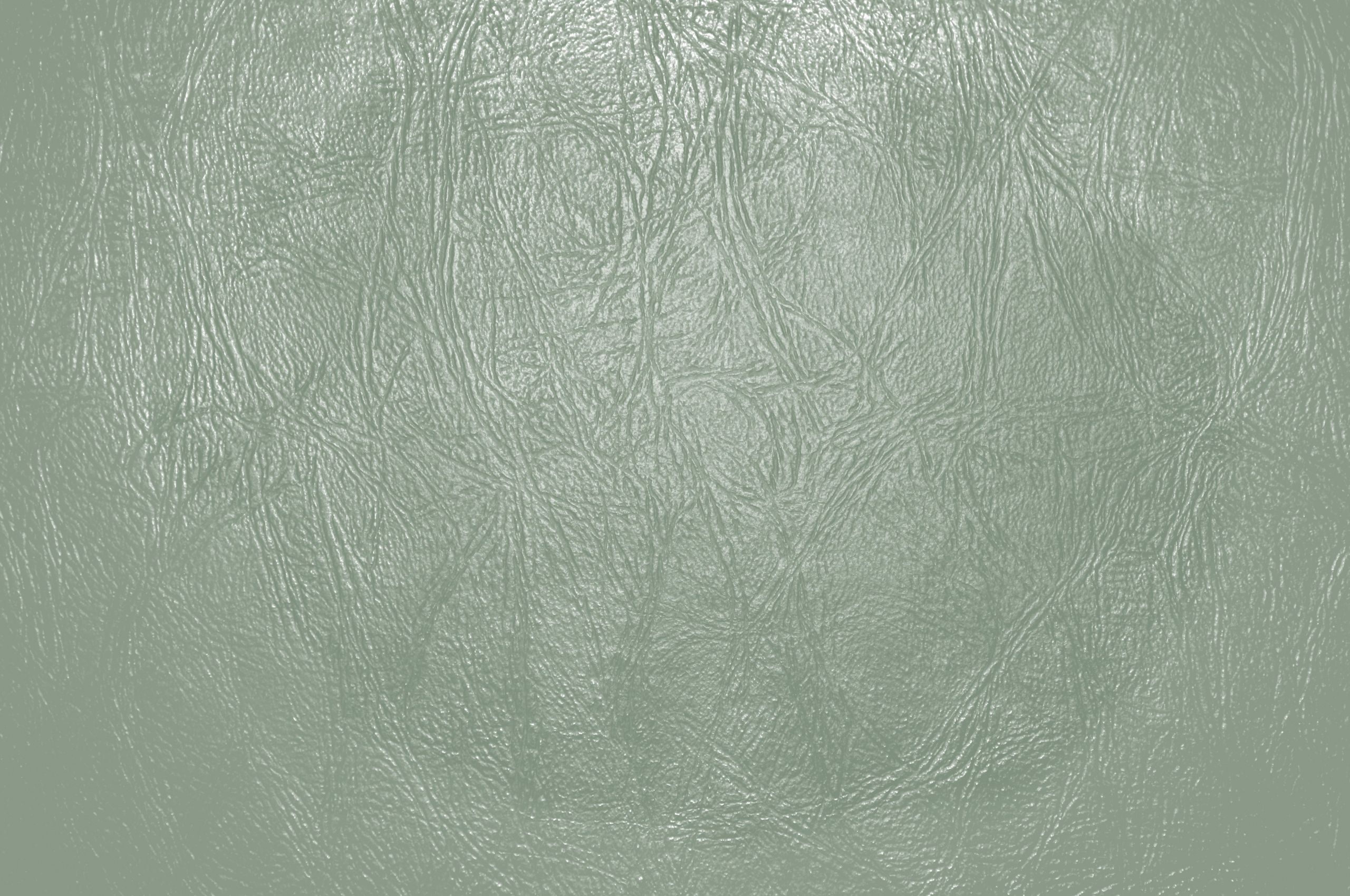 Free download Sage Green Leather Close Up Texture Picture Photograph Photo [3888x2592] for your Desktop, Mobile & Tablet. Explore Sage Green Wallpaper. Light Green Textured Wallpaper, Green Textured Wallpaper