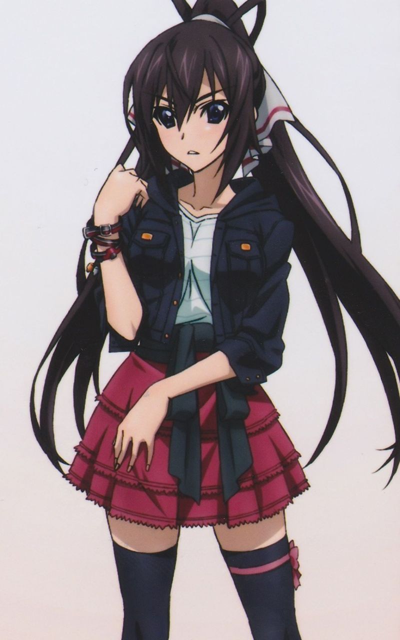 Houki Shinonono (IS: Infinite Stratos) - Pictures 