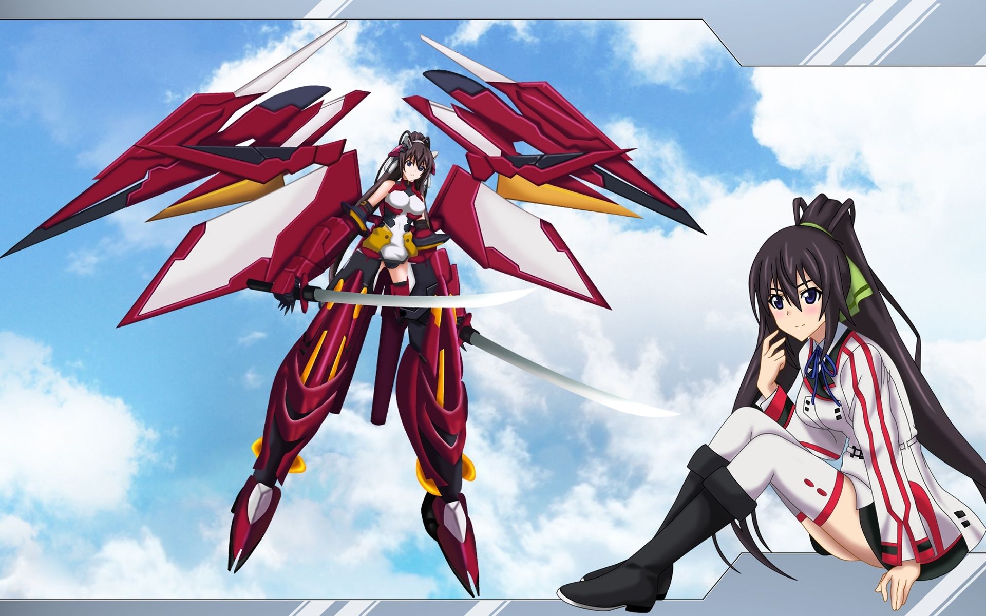 Download 1920x1200 Cartoons infinite stratos anime shinonono houki anime girls 1920x1200 wallpaper