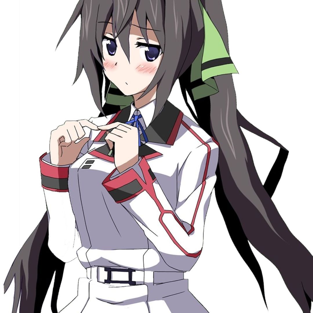 Houki From Infinite Stratos