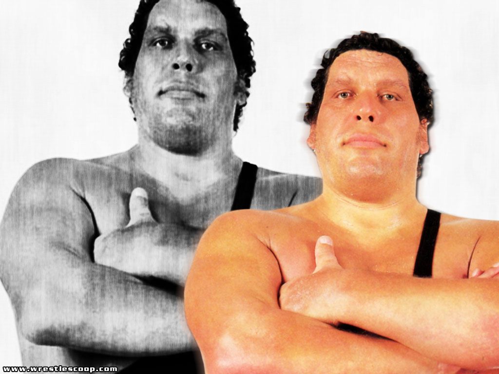 ANDRE THE GIANT WALLPAPER. Andre the giant, Celebrities male, Wwe legends