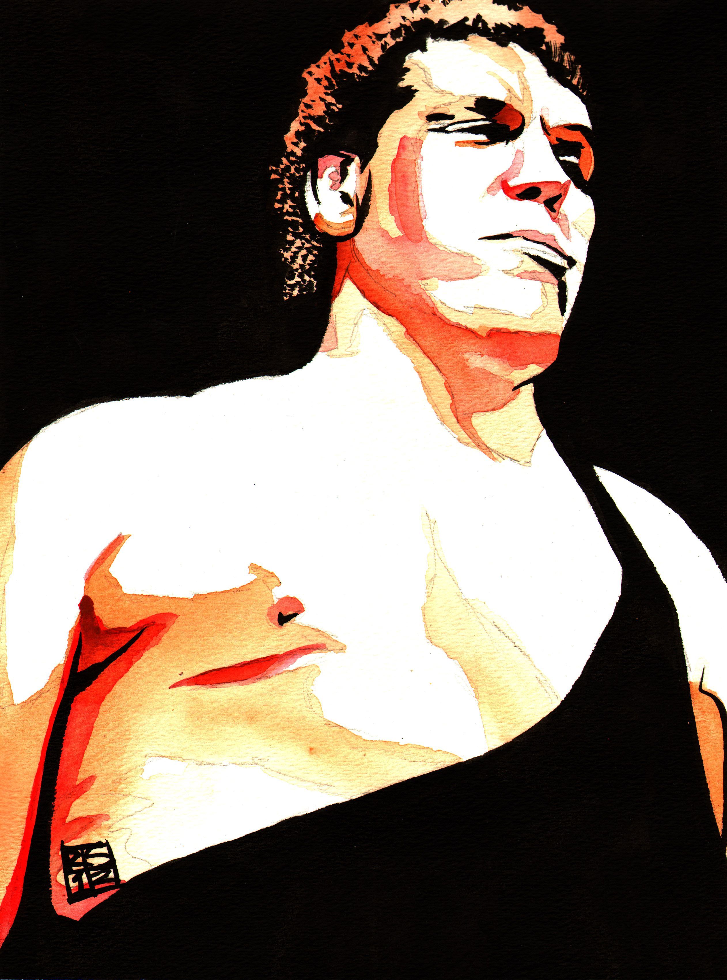 Andre the Giant by Rob Schamberger. Andre the giant, Wwf superstars, Wwe legends