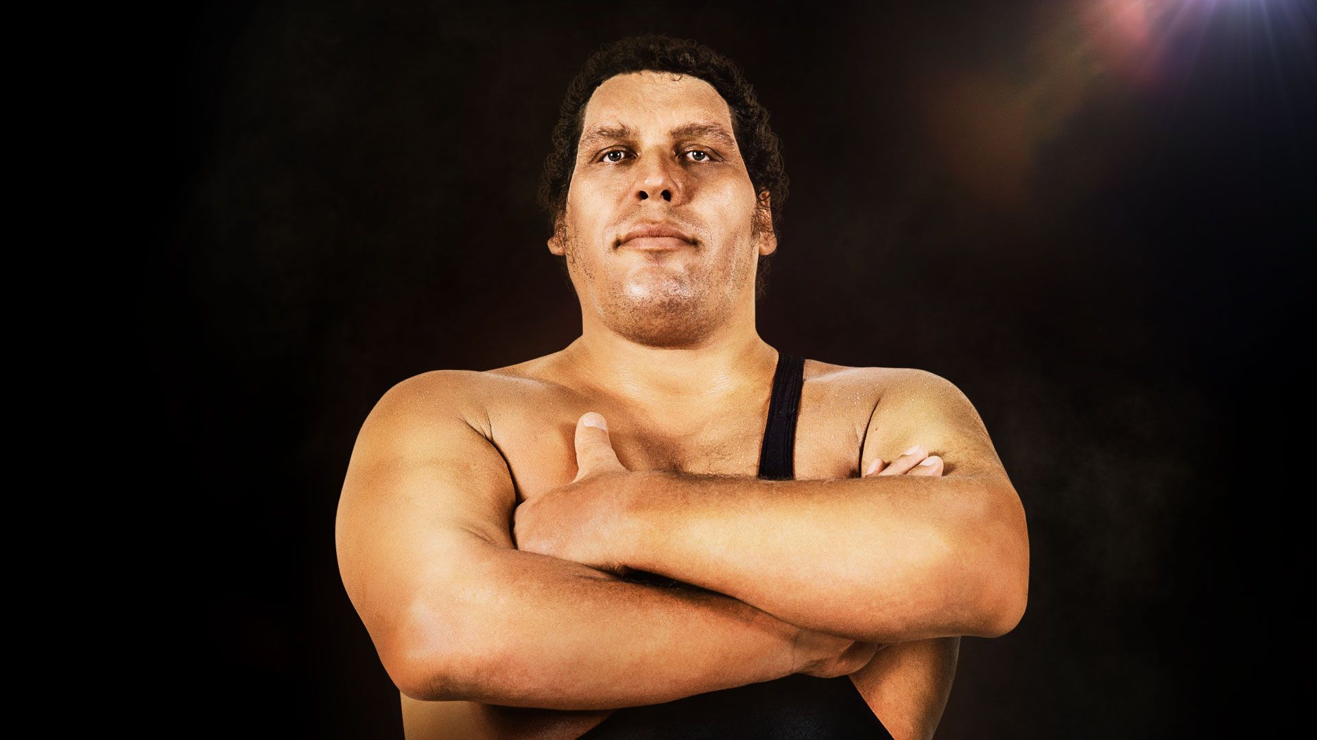 biography wwe legends andre the giant