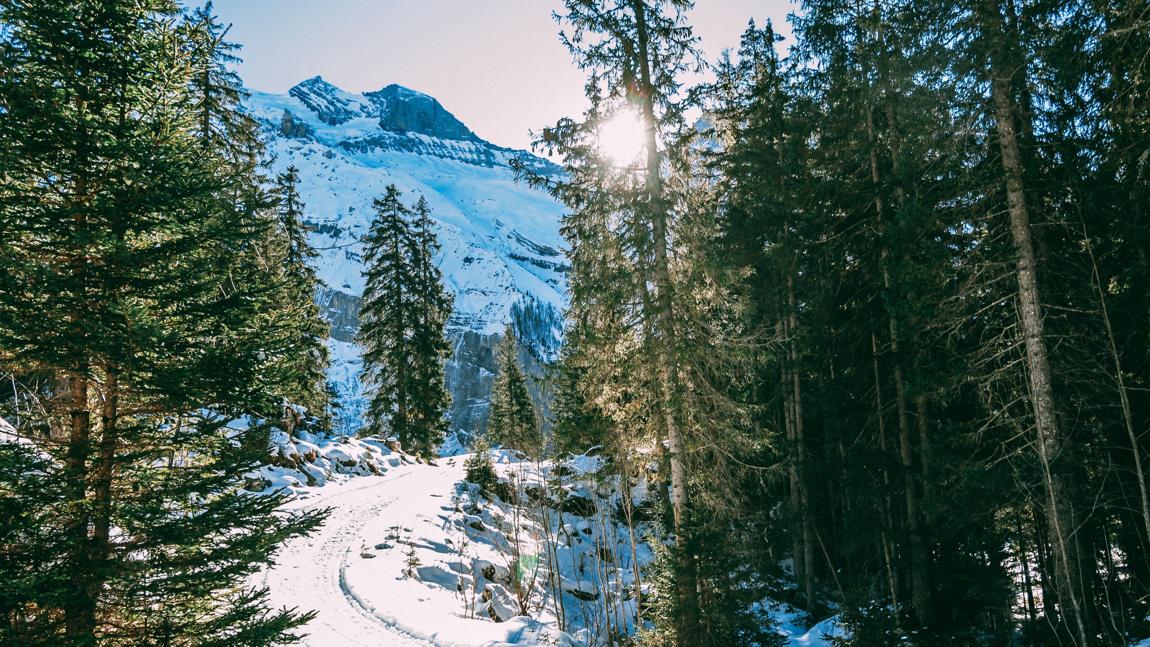 Download wallpaper 3840x2160 winter, forest, snow, trees, path, turn 4k uhd 16:9 HD background