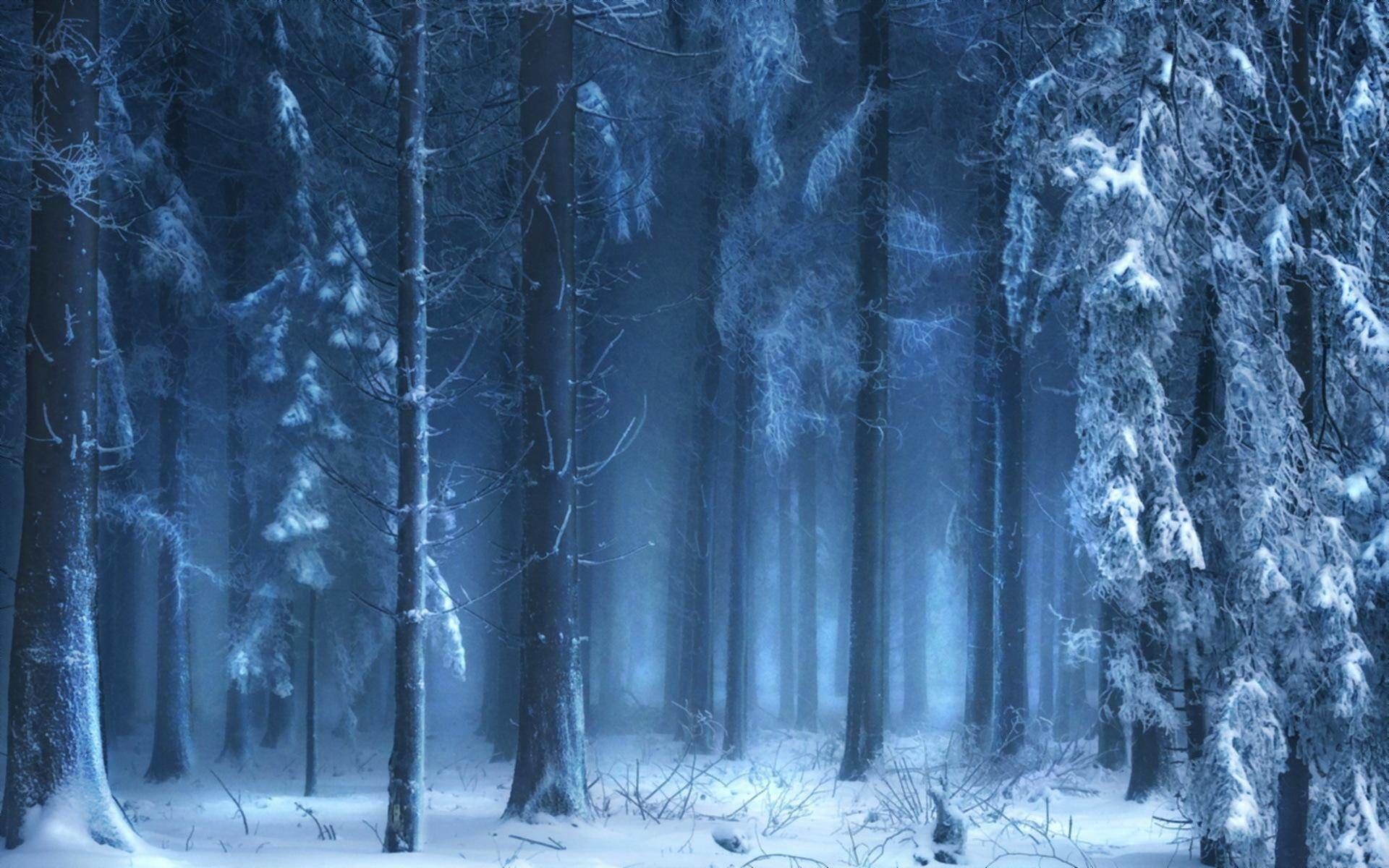 Ice Forest Wallpaper Free Ice Forest Background