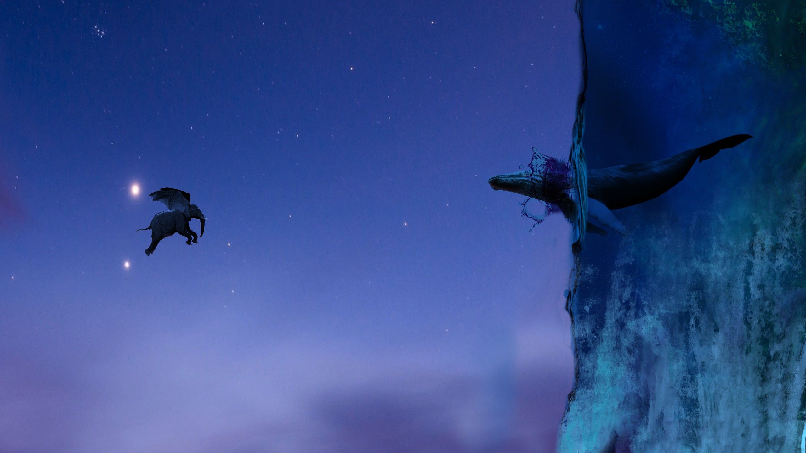 Elephant Wallpaper 4K, Whale, Lands End