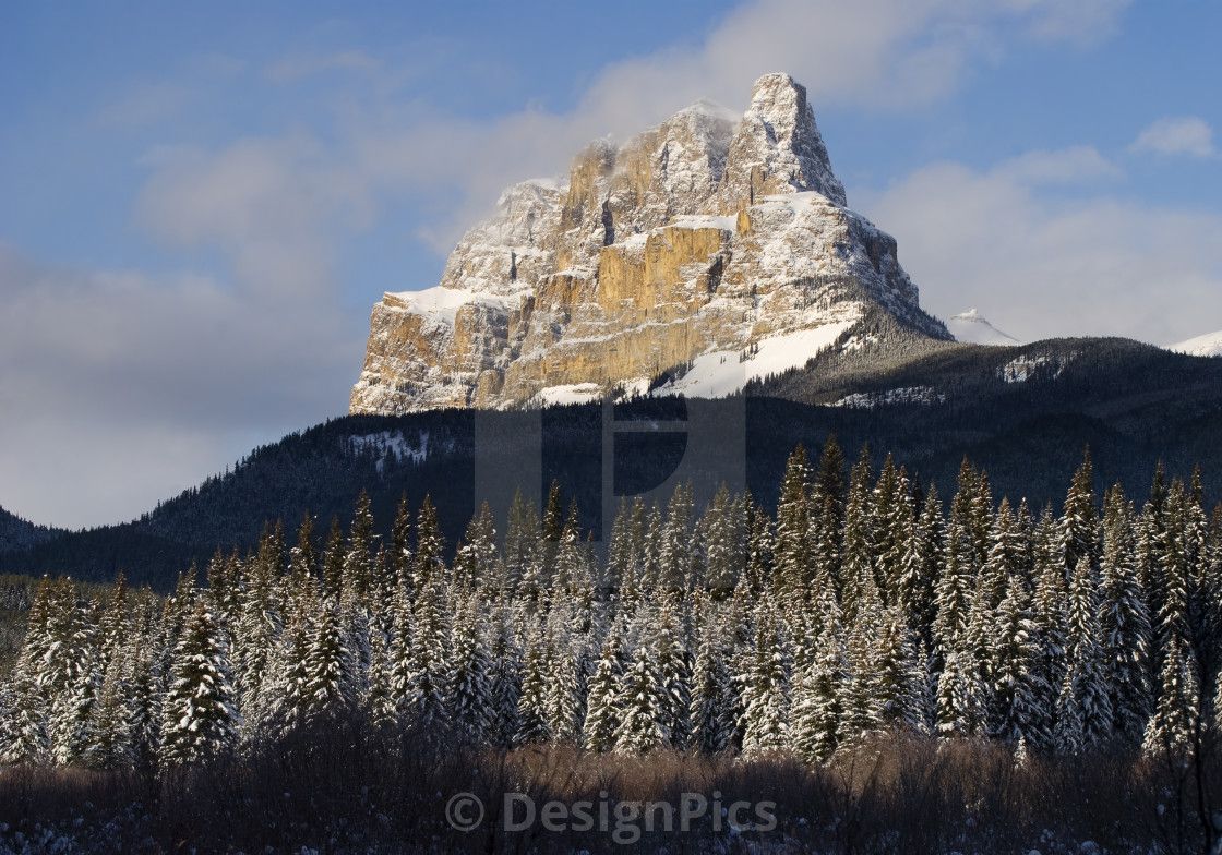 Castle Mountain, Banff National Park, Banff, Alberta, download or print for £30.32