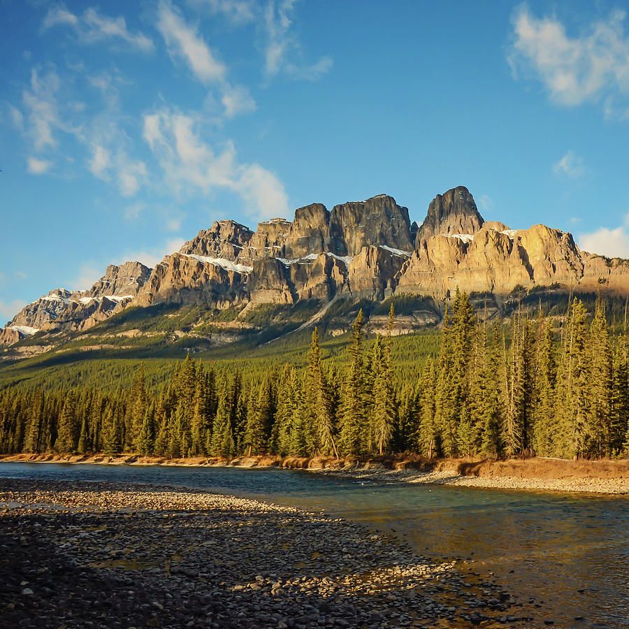 Castle Mountain in Banff National Park Alberta Photograph by Shawna and Damien Richard