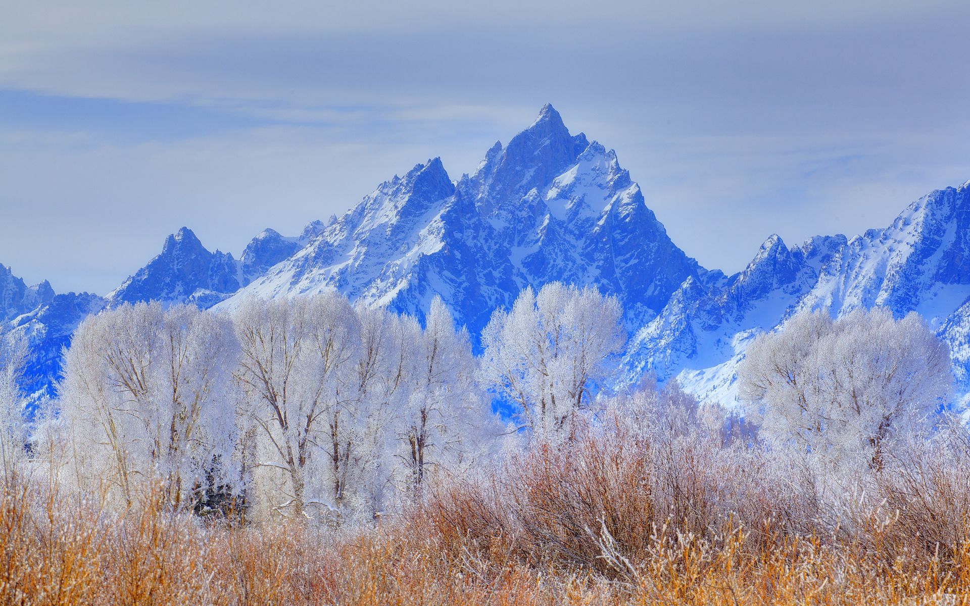 grand teton national park, wyoming, usa 1200P Wallpaper, HD Nature 4K Wallpaper, Image, Photo and Background