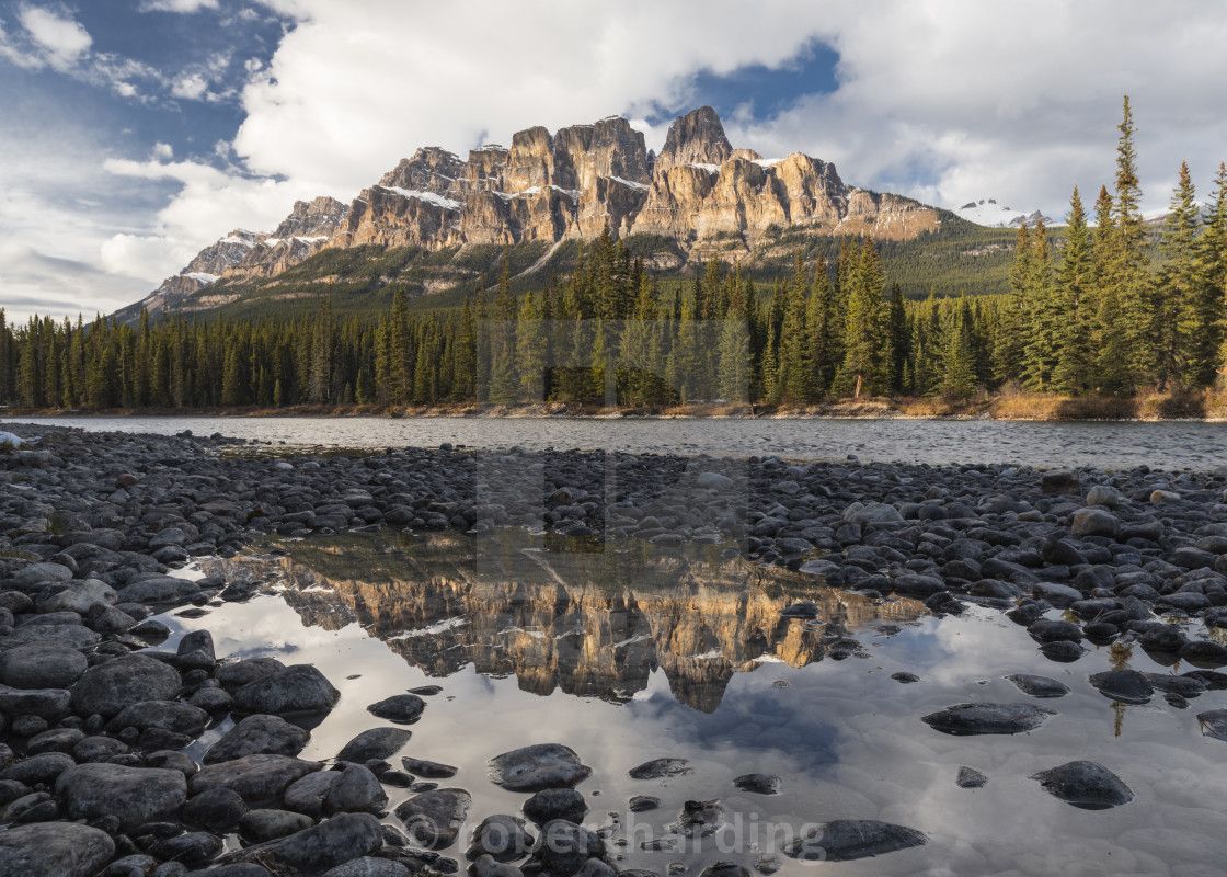 Castle Mountain and Bow River sunset and reflection, Banff National Park, ., download or print for £79.84