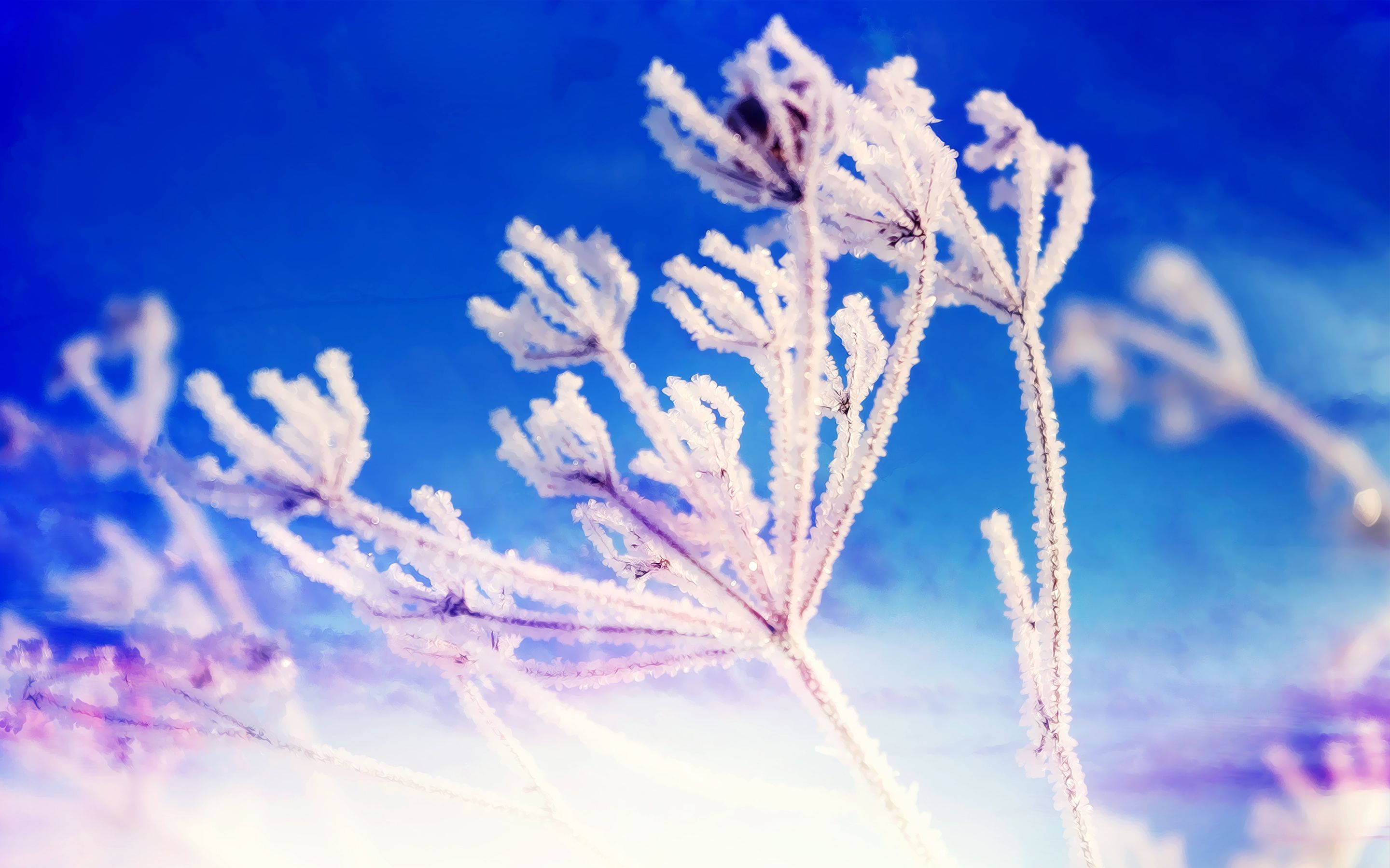 Winter Fantasy Wallpaper. HD