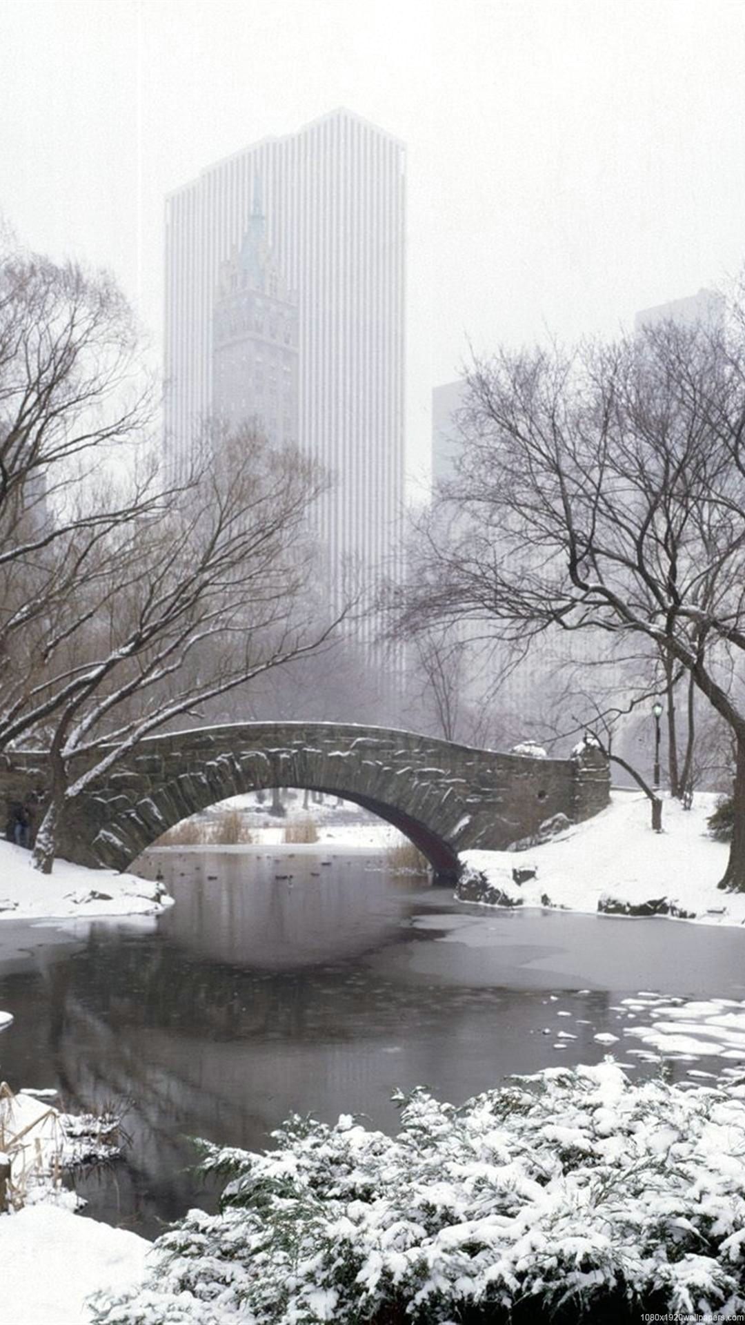 Winter City New York Nature Park Wallpaper HD