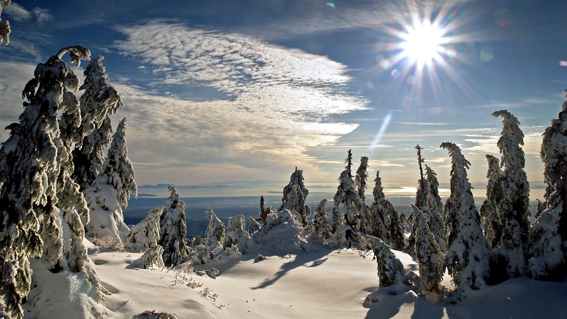 Winter Sun Wallpaper Winter Nature Wallpaper in jpg format for free download