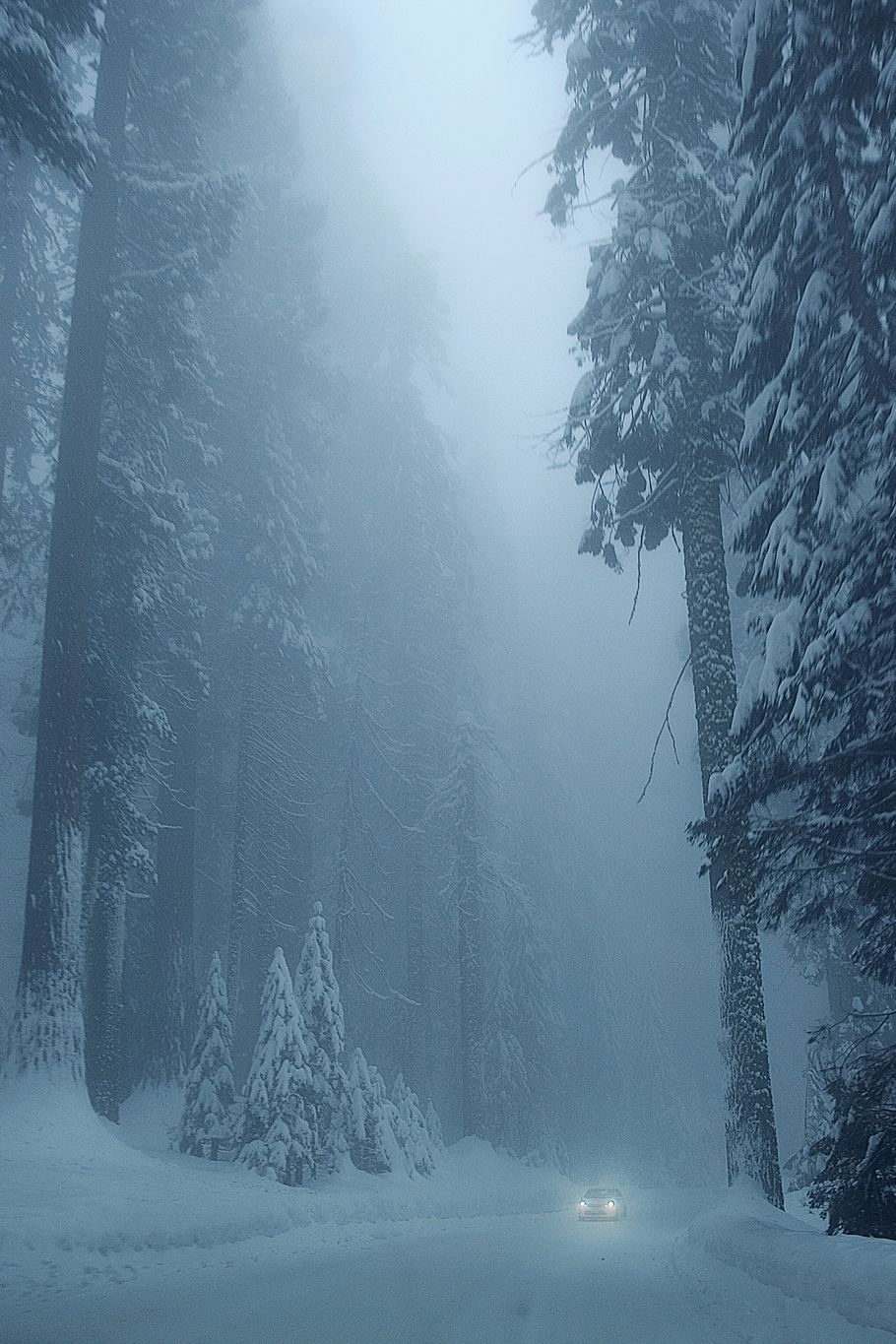 The Forest. Winter scenery, Winter landscape, Winter scenes