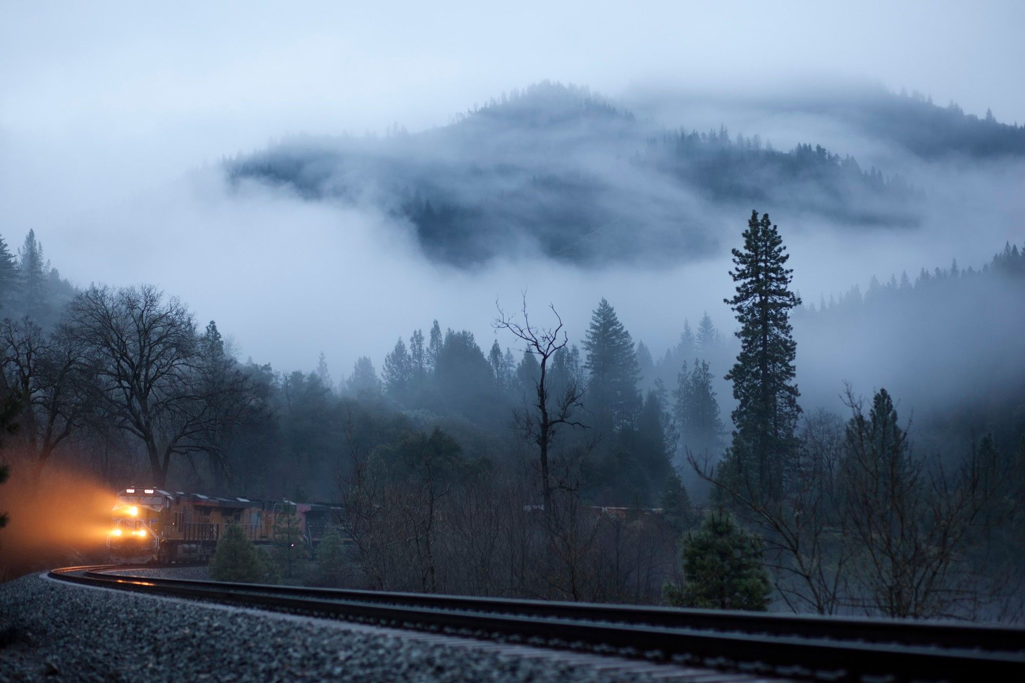 nature, Winter, Trees, Railway, Train, Lights, Mist, Forest, Landscape Wallpaper HD / Desktop and Mobile Background
