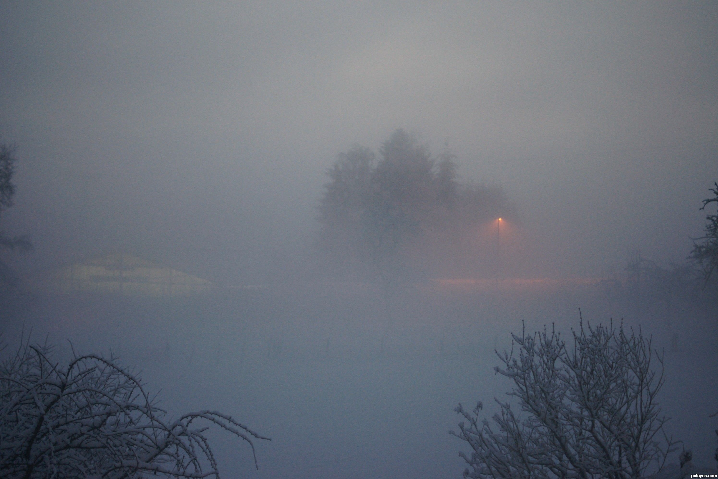 Good night winter! picture, by reydejupiter for: fog photography contest