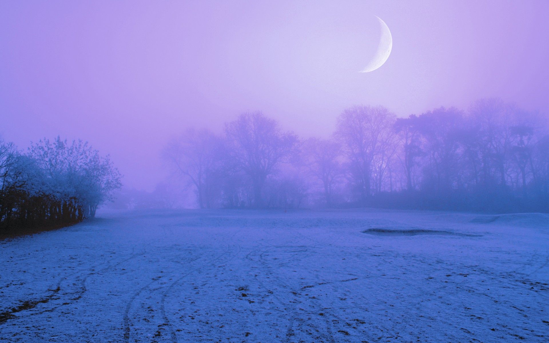 Cg digital art manip winter snow fog mist moon sky frost trees wallpaperx1200