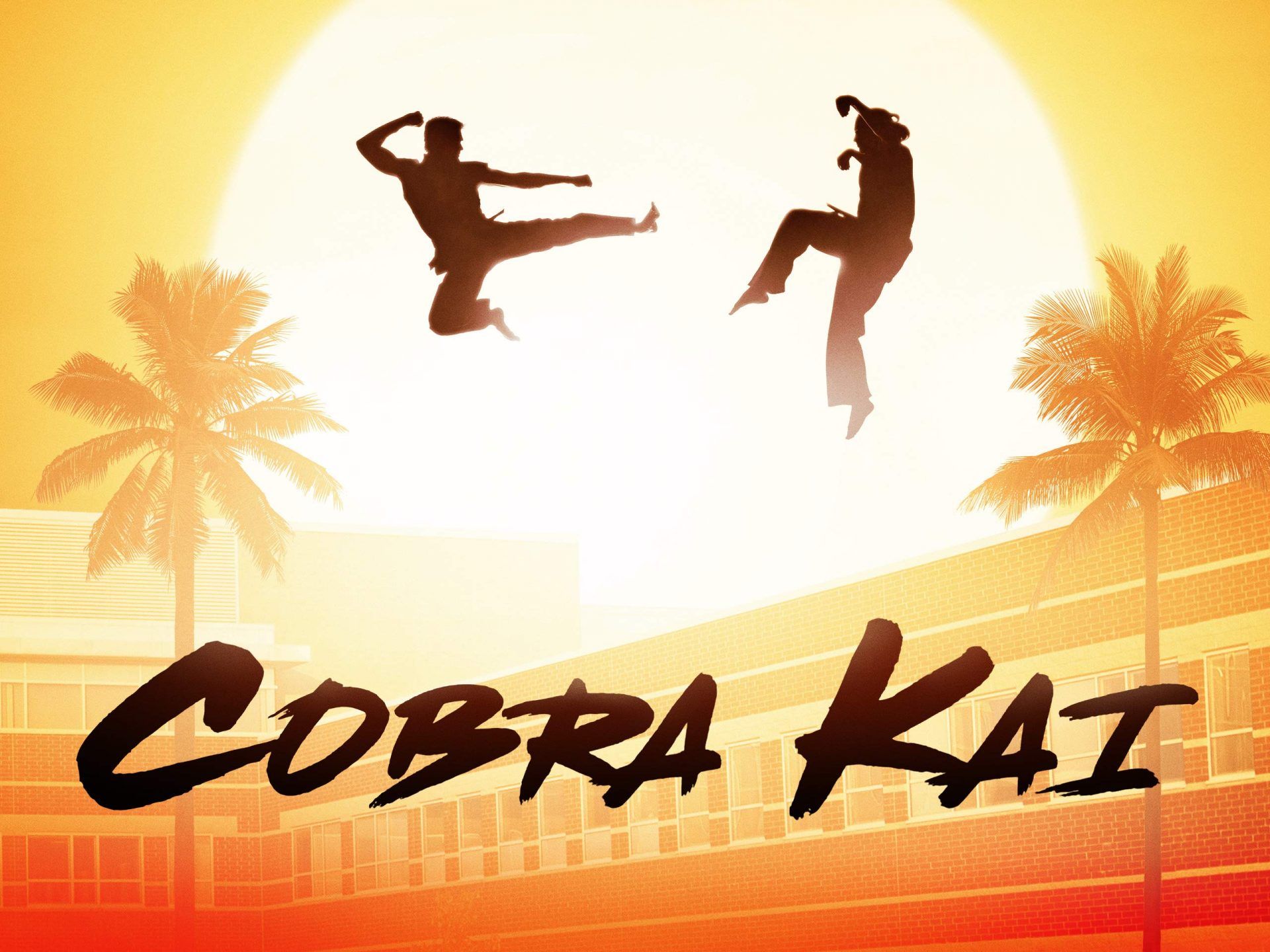 Cobra Kai Season 1: The Story Of Karate Kid Continues