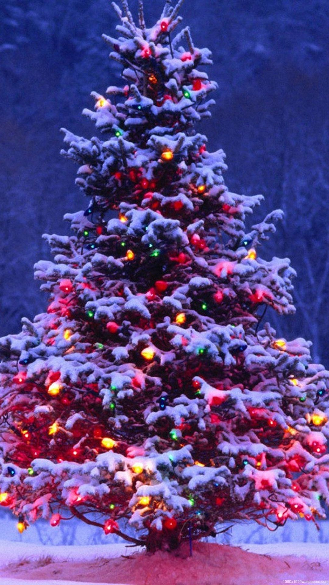 Xmas Light Tree Christmas Wallpaper HD