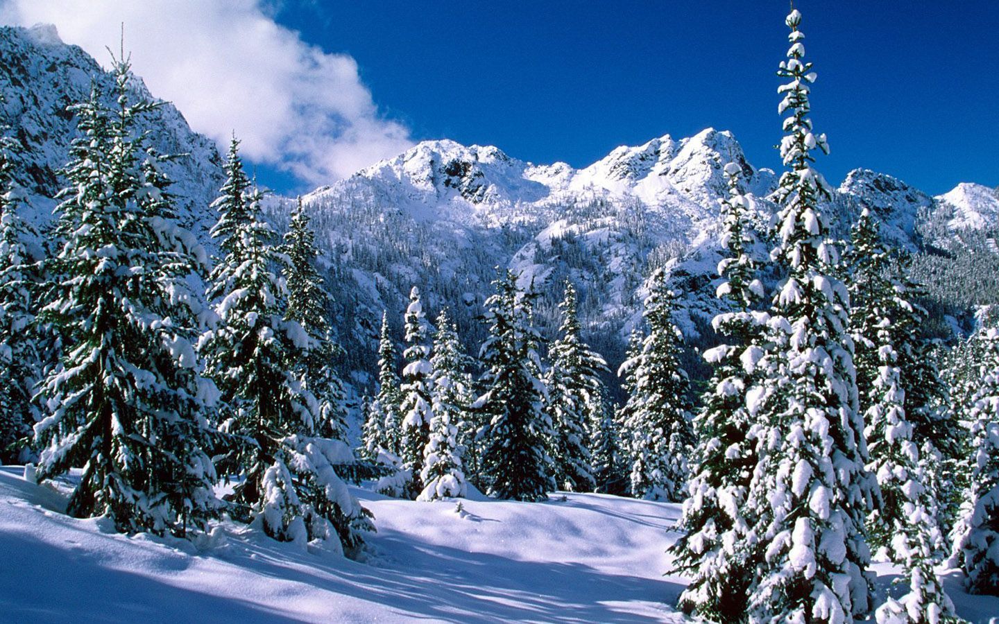 Winter Wonderland Scenes. Winter wonderland, Dreamy Snow Scene wallpaper 1440x900 NO.46 Deskto. Winter wallpaper, Winter landscape, Winter landscape photography